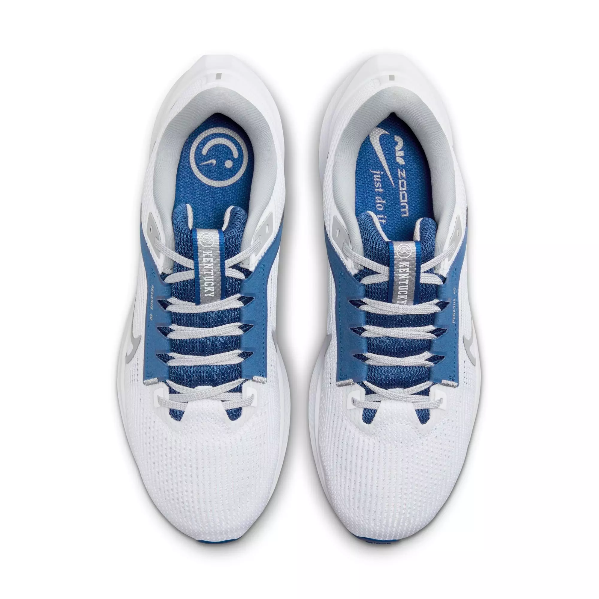 Nike Pegasus 40 "Kentucky" Men's Running Shoe - WHITE/WOLF GREY/TEAM ROYAL
