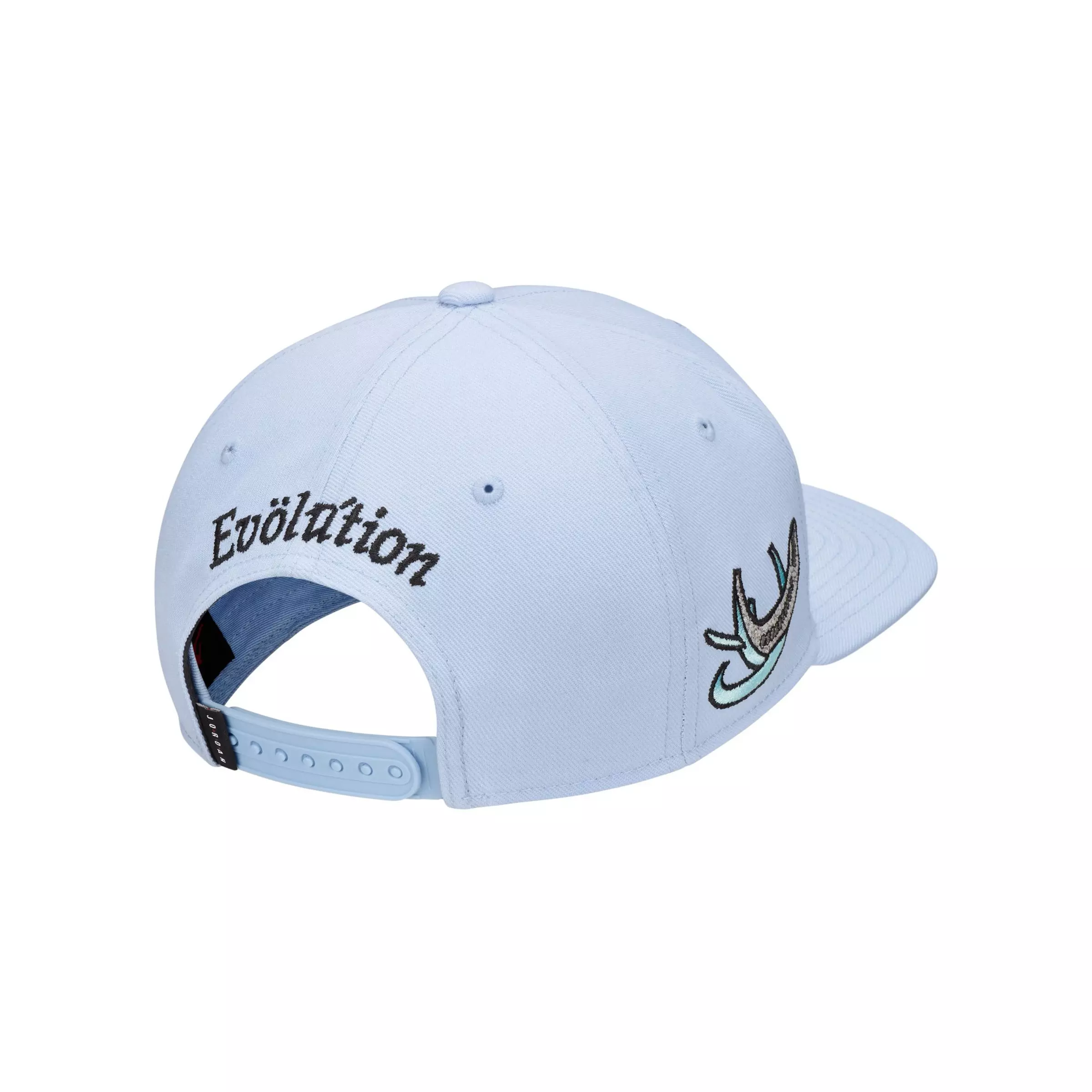 Jordan Pro Member Snapback-Blue - BLUE