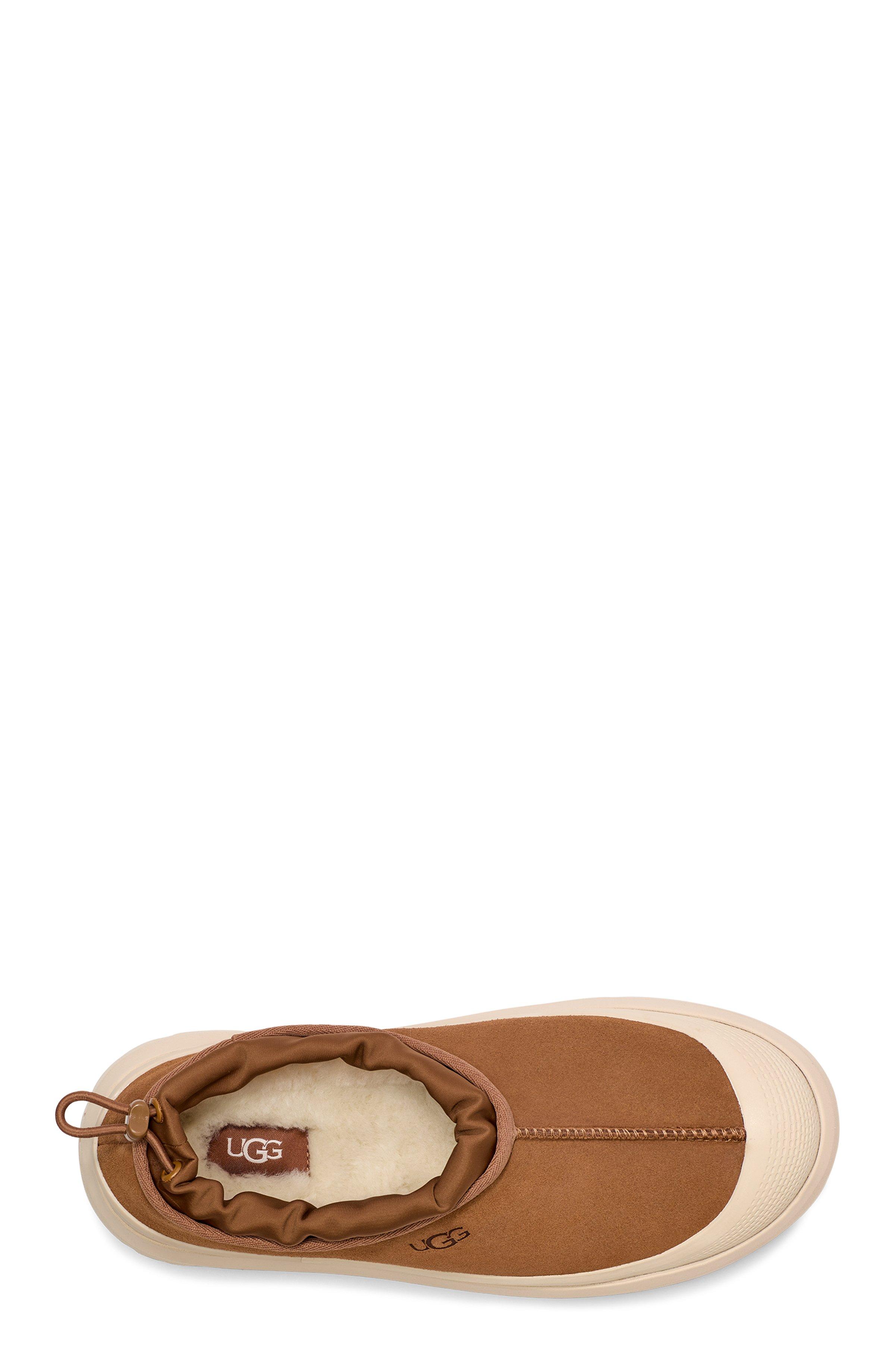 UGG Tasman Weather Hybrid Men's "Chestnut/Whitecap" Slipper