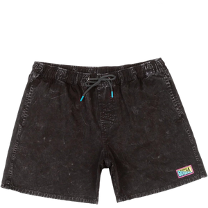 Gotcha Men's Baja Norte Shorts