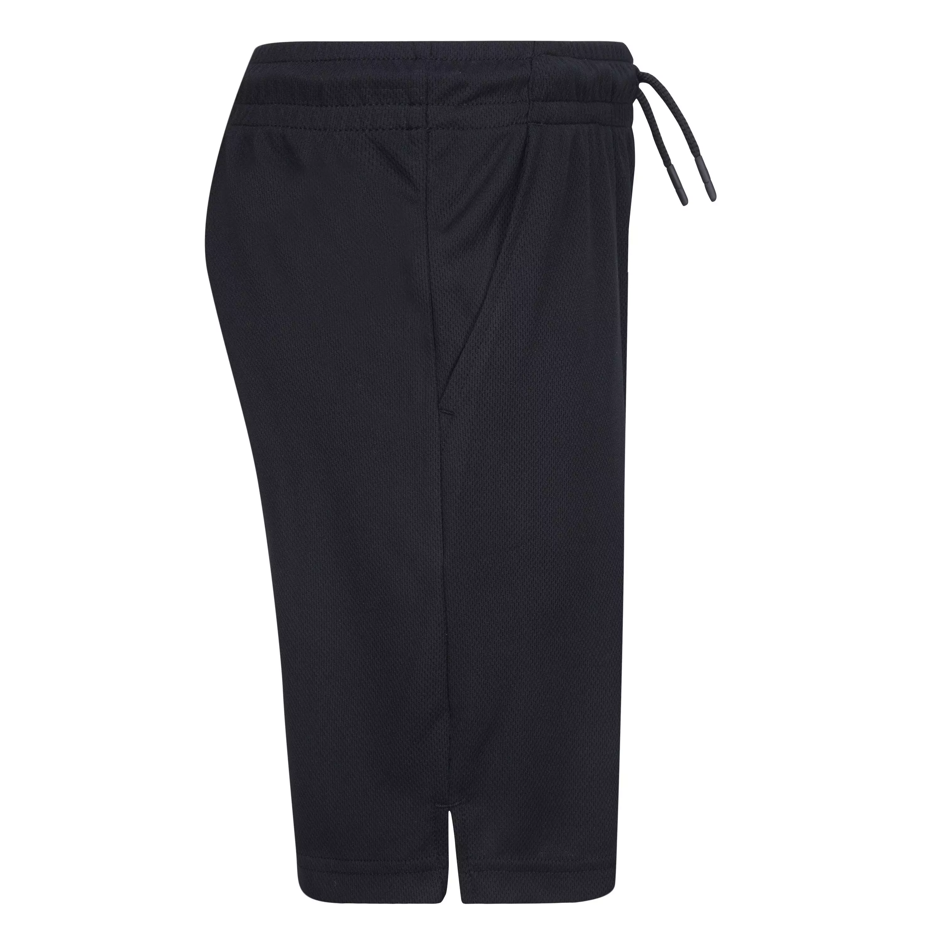 Jordan Big Boys' Essentials Mesh Shorts - Black - BLACK