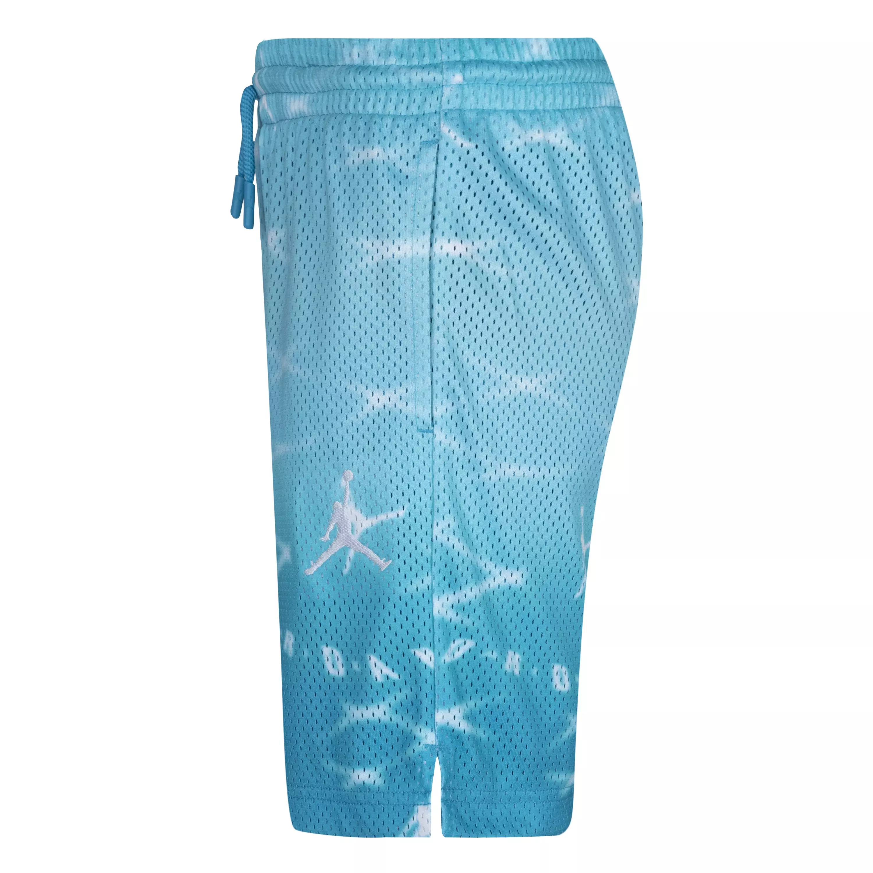 Jordan Big Boys' Essentials Printed Shorts - BLUE
