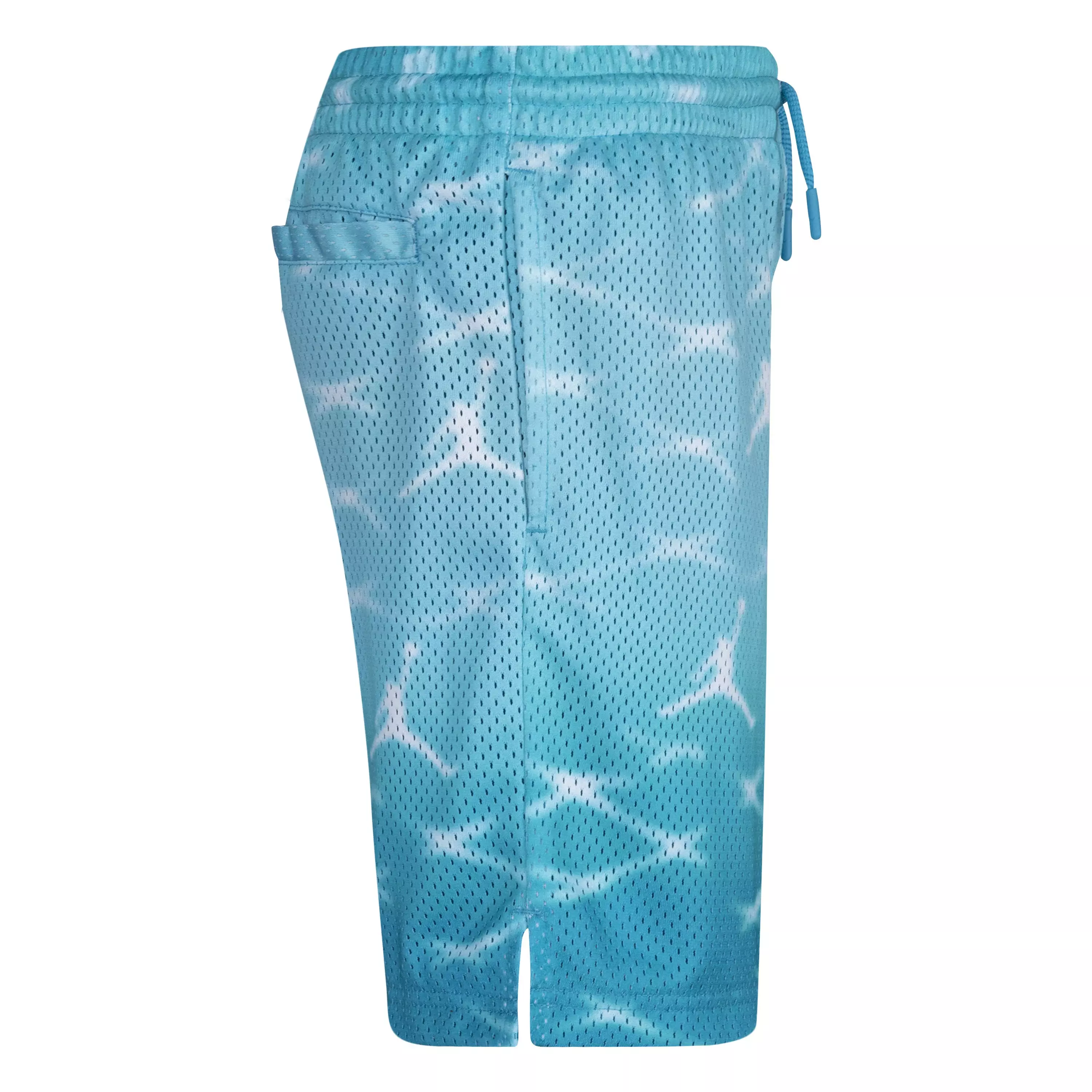 Jordan Big Boys' Essentials Printed Shorts - BLUE