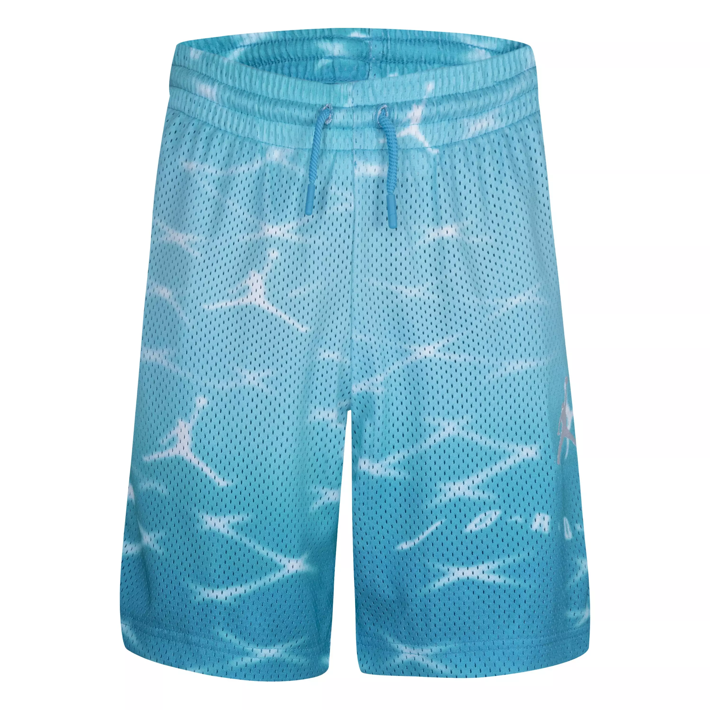 Jordan Big Boys' Essentials Printed Shorts - BLUE