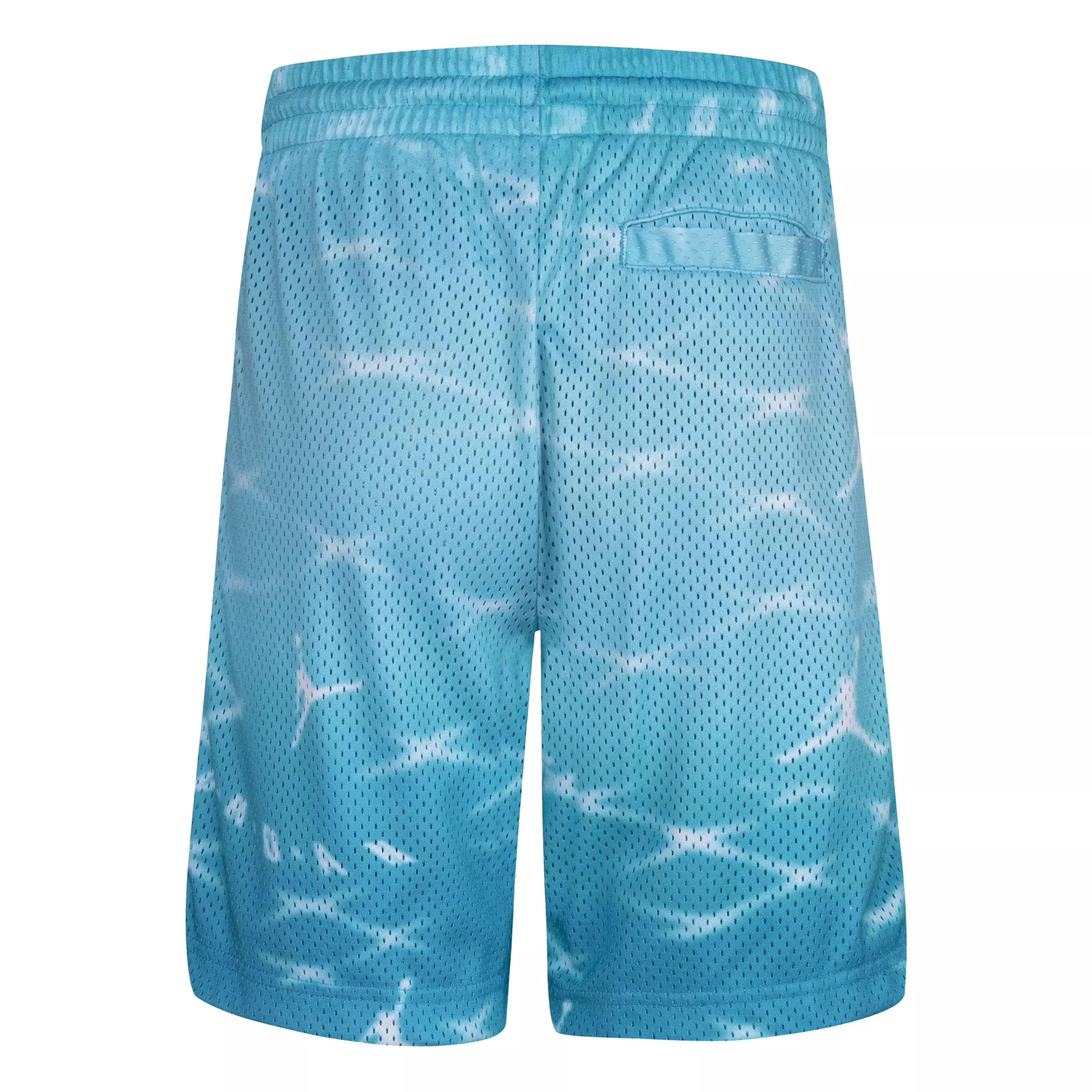 Jordan Big Boys' Essentials Printed Shorts - BLUE