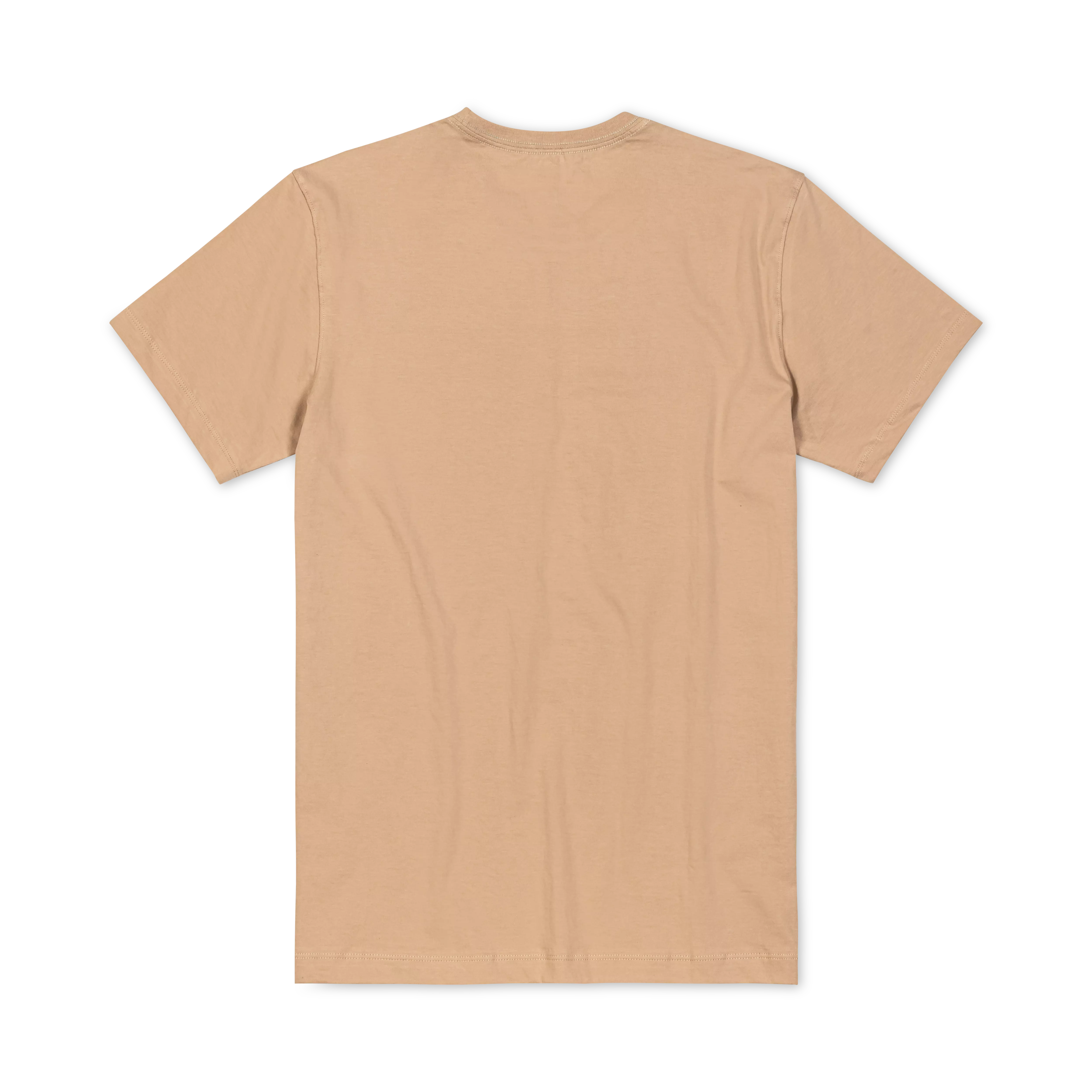 Baja Llama Men's Desert Perspectives Tee - TAN