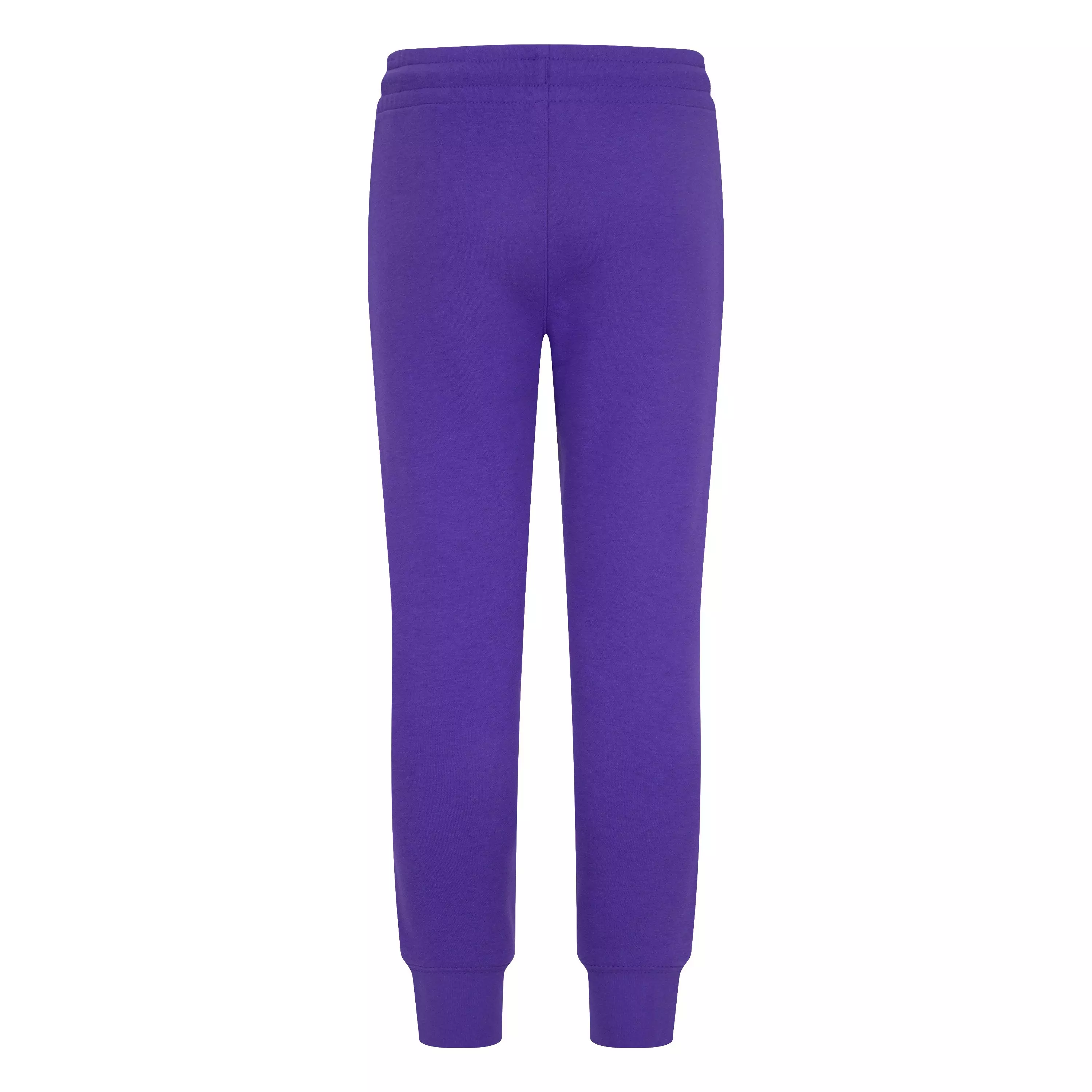 Jordan Big Girls' Take Flight Snap Fleece Pants - PURPLE
