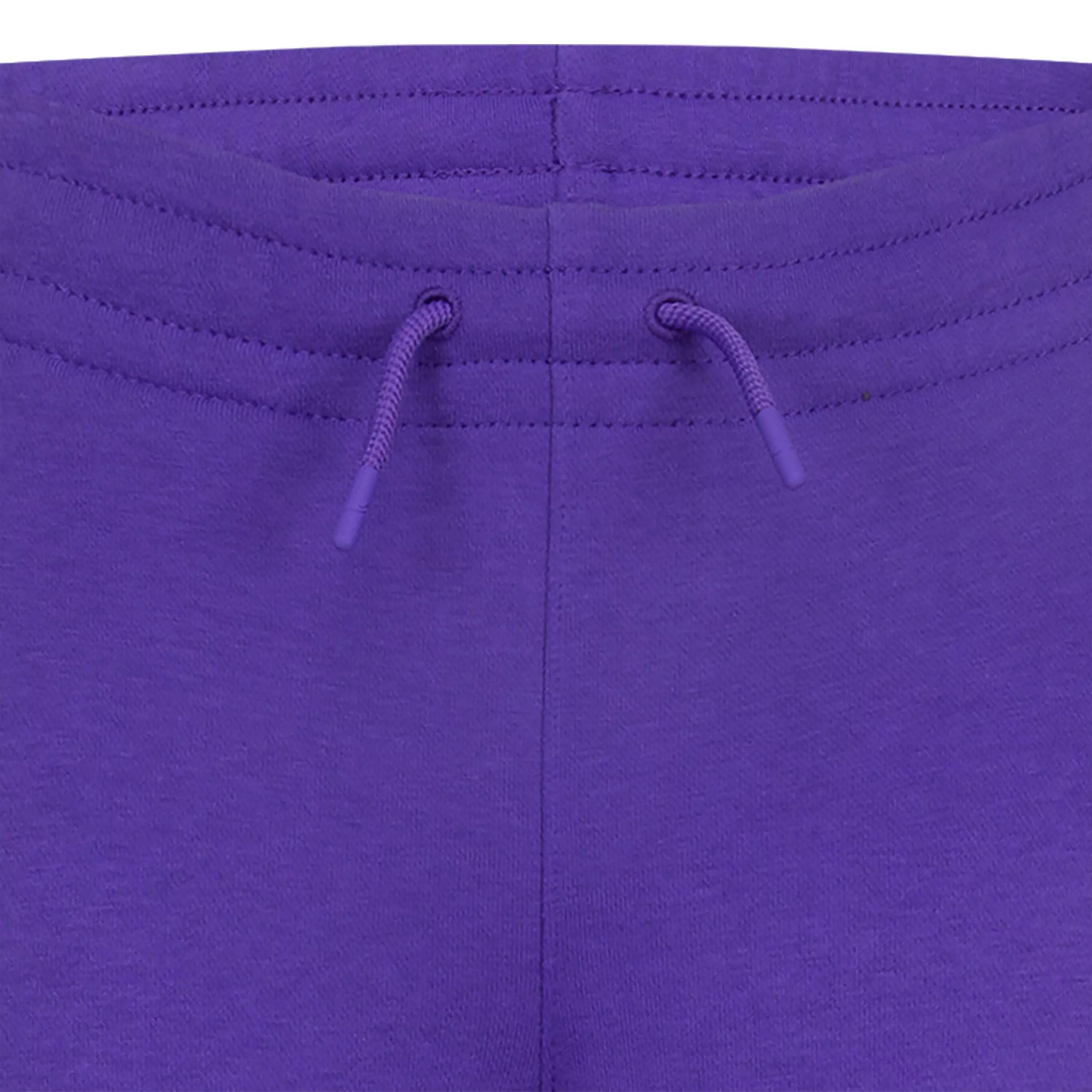 Jordan Big Girls' Take Flight Snap Fleece Pants - PURPLE