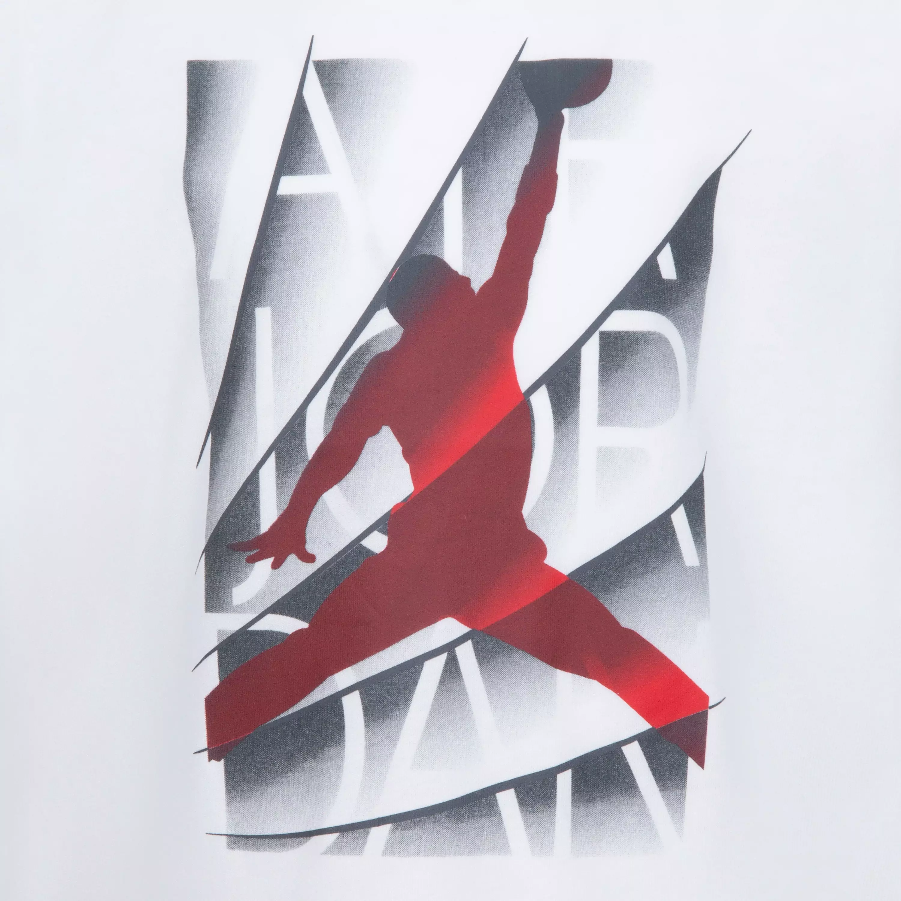 Jordan Little Boys' AJ 12 Retro Tee - WHITE