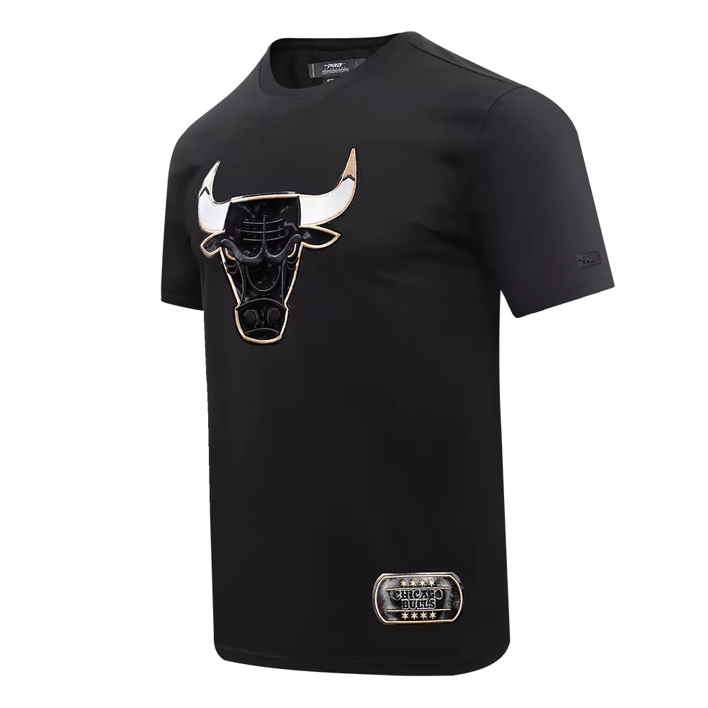 Pro Standard Men's Chicago Bulls Retro 11 "Gratitude" Tee-Black - BLACK