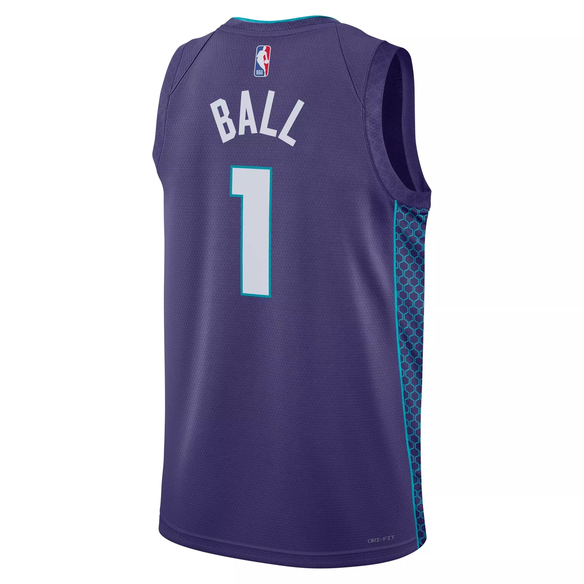 Jordan Men's Charlotte Hornets Statement Edition Dri-FIT NBA Swingman Jersey - PURPLE