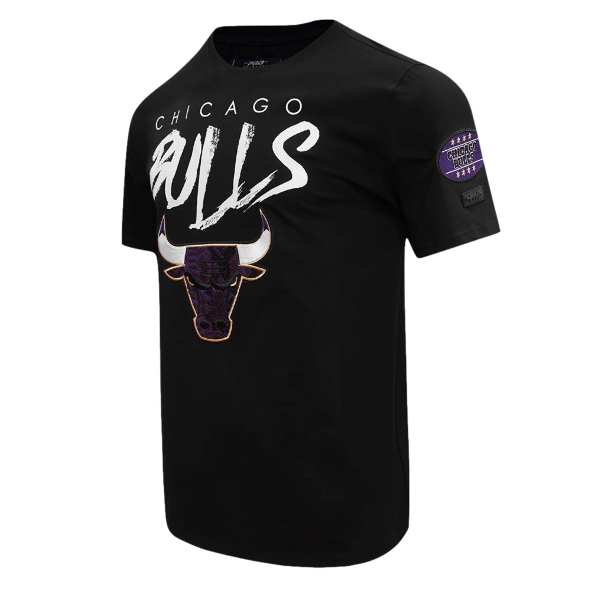 Pro Standard Men's Chicago Bulls AJ Retro 12 "Field Purple" Tee-Black - BLACK Thumbnail View 1
