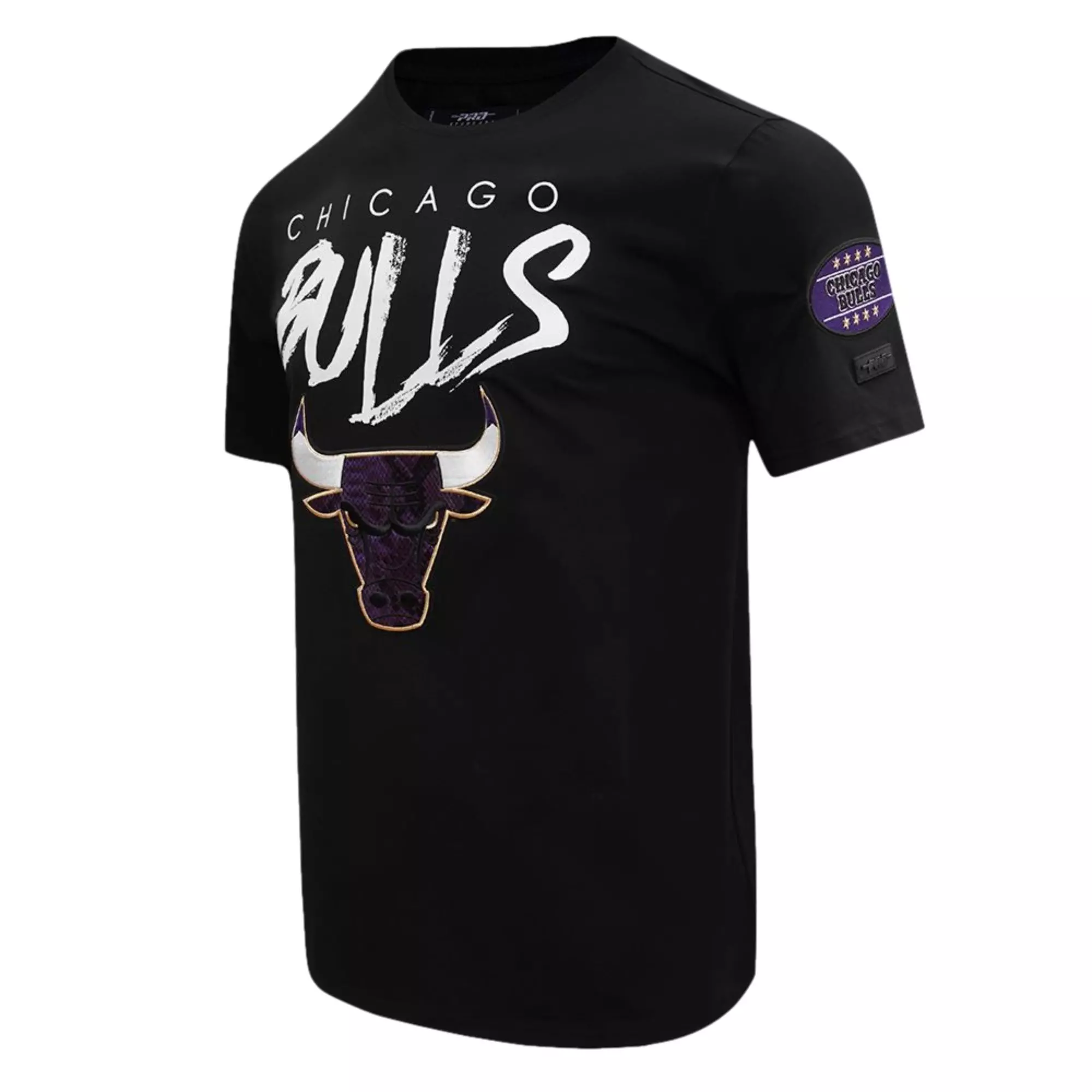 Pro Standard Men's Chicago Bulls AJ Retro 12 "Field Purple" Tee-Black - BLACK