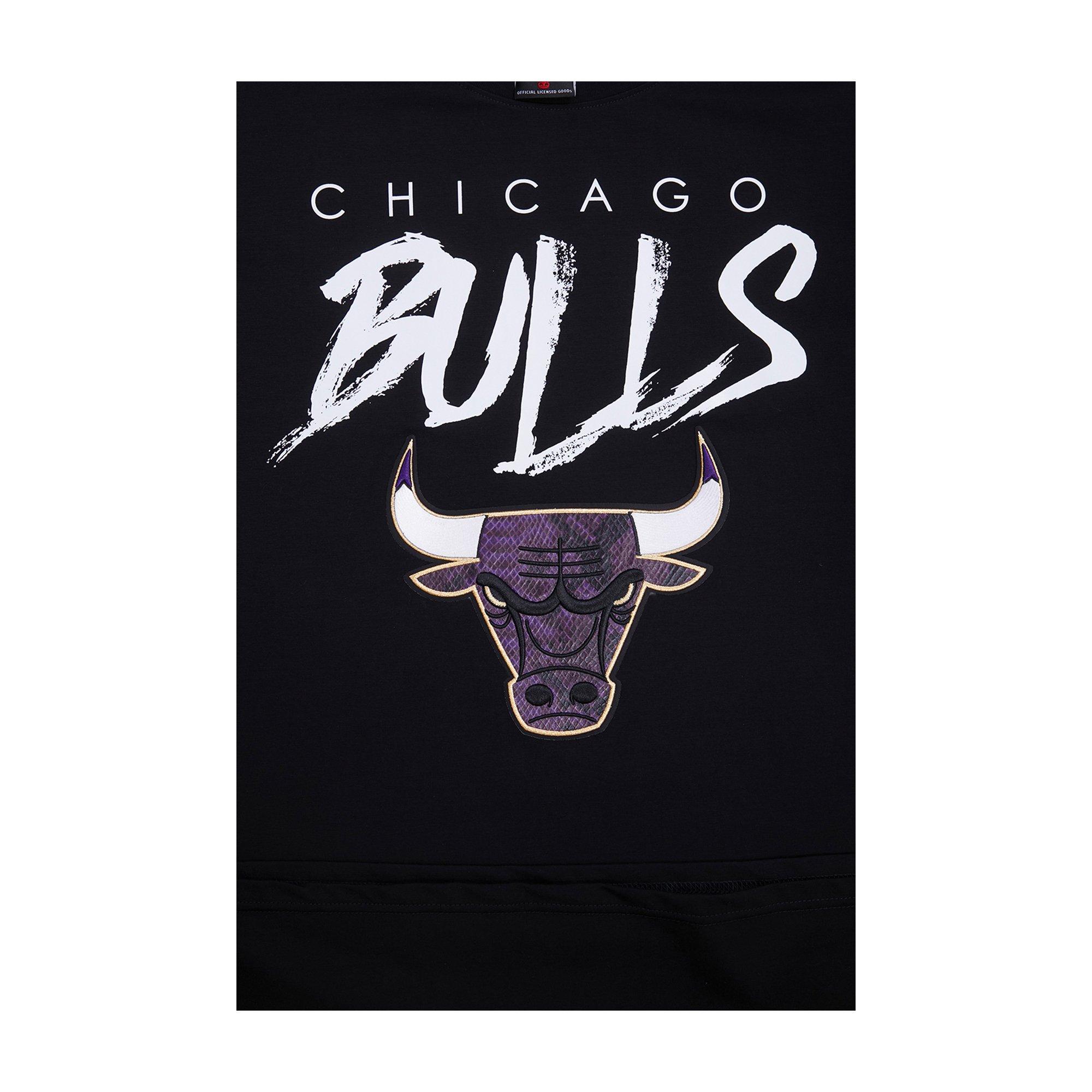 Pro Standard Men's Chicago Bulls AJ Retro 12 Field Purple Tee-Black -  Hibbett