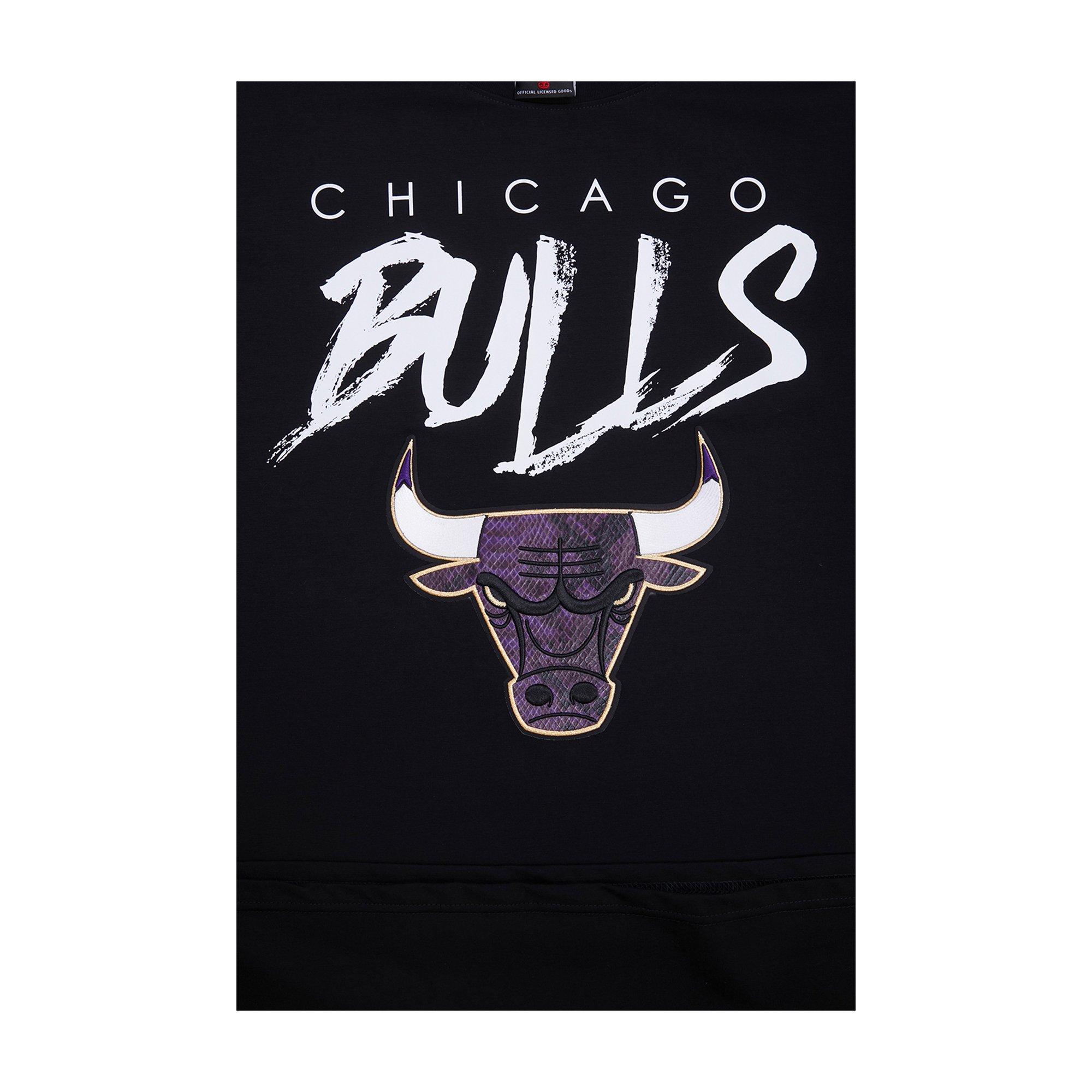 Pro Standard Men's Chicago Bulls AJ Retro 12 "Field Purple" Tee-Black - BLACK Thumbnail View 3