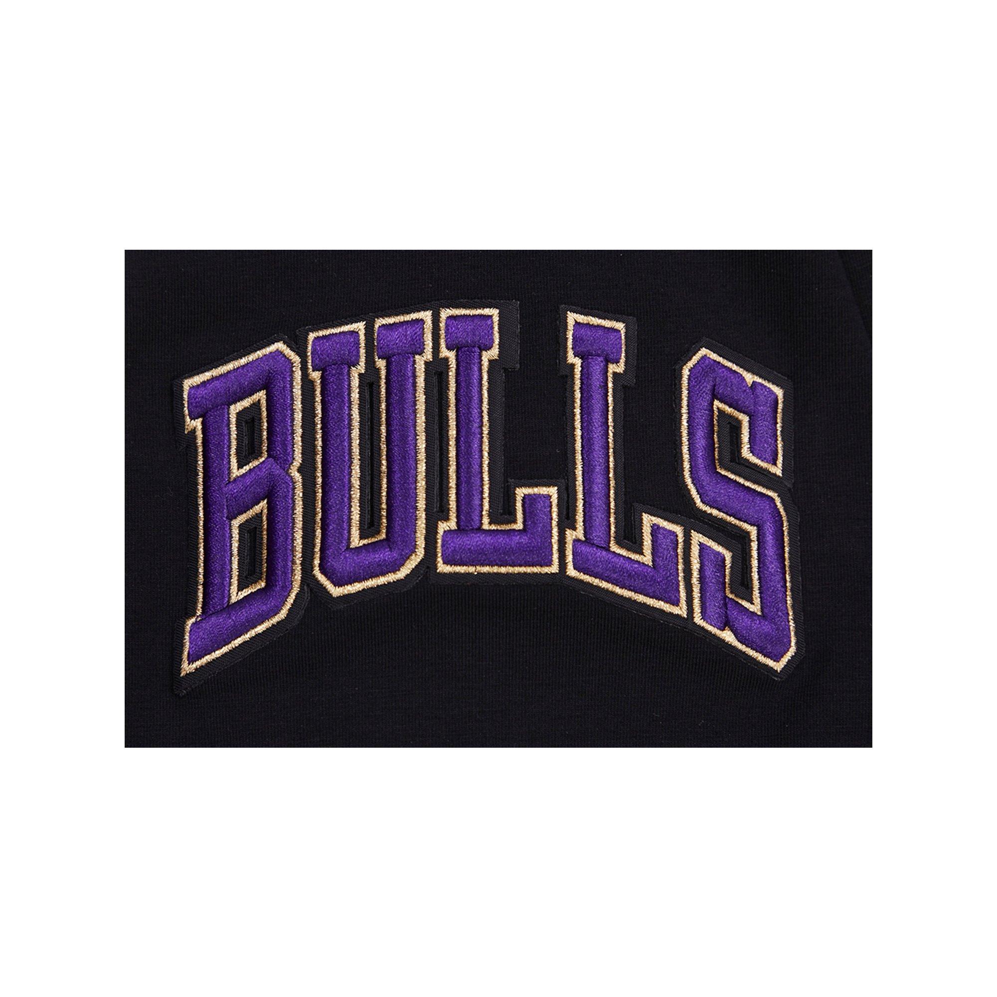 Pro Standard Men's Chicago Bulls AJ Retro 12 "Field Purple" Tee-Black - BLACK Thumbnail View 4
