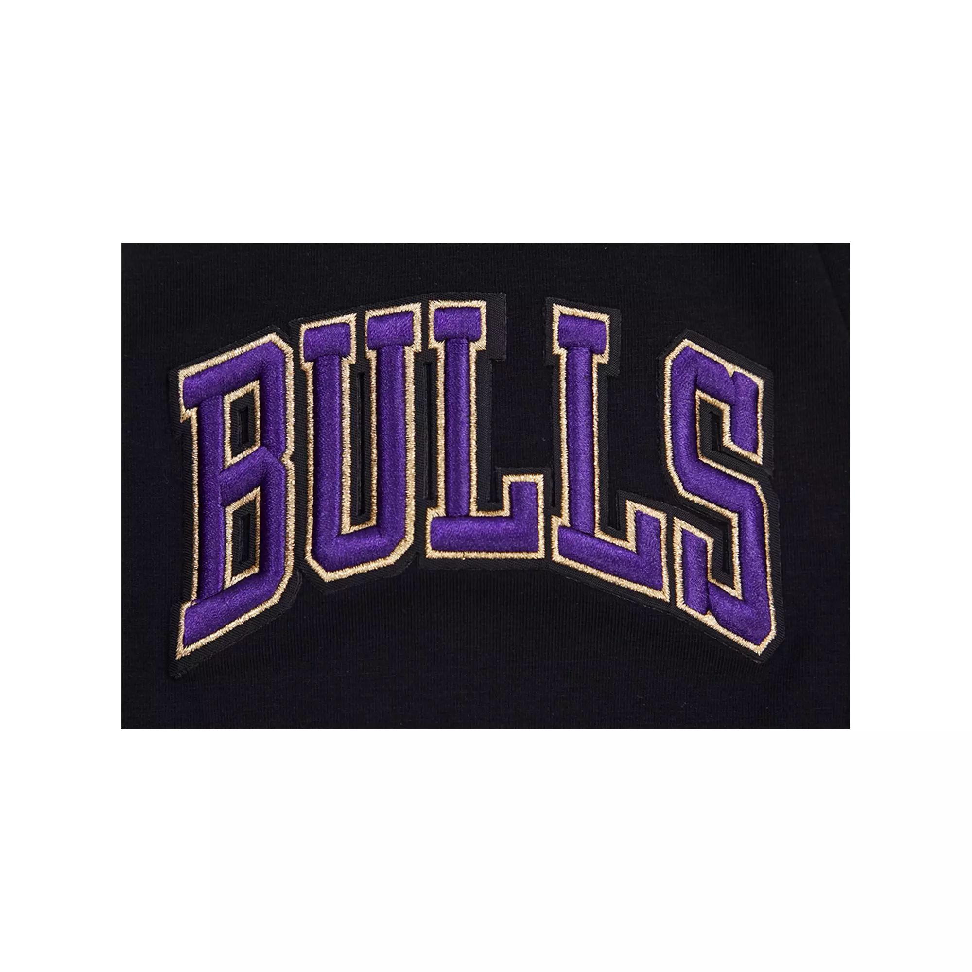 Pro Standard Men's Chicago Bulls AJ Retro 12 "Field Purple" Tee-Black - BLACK