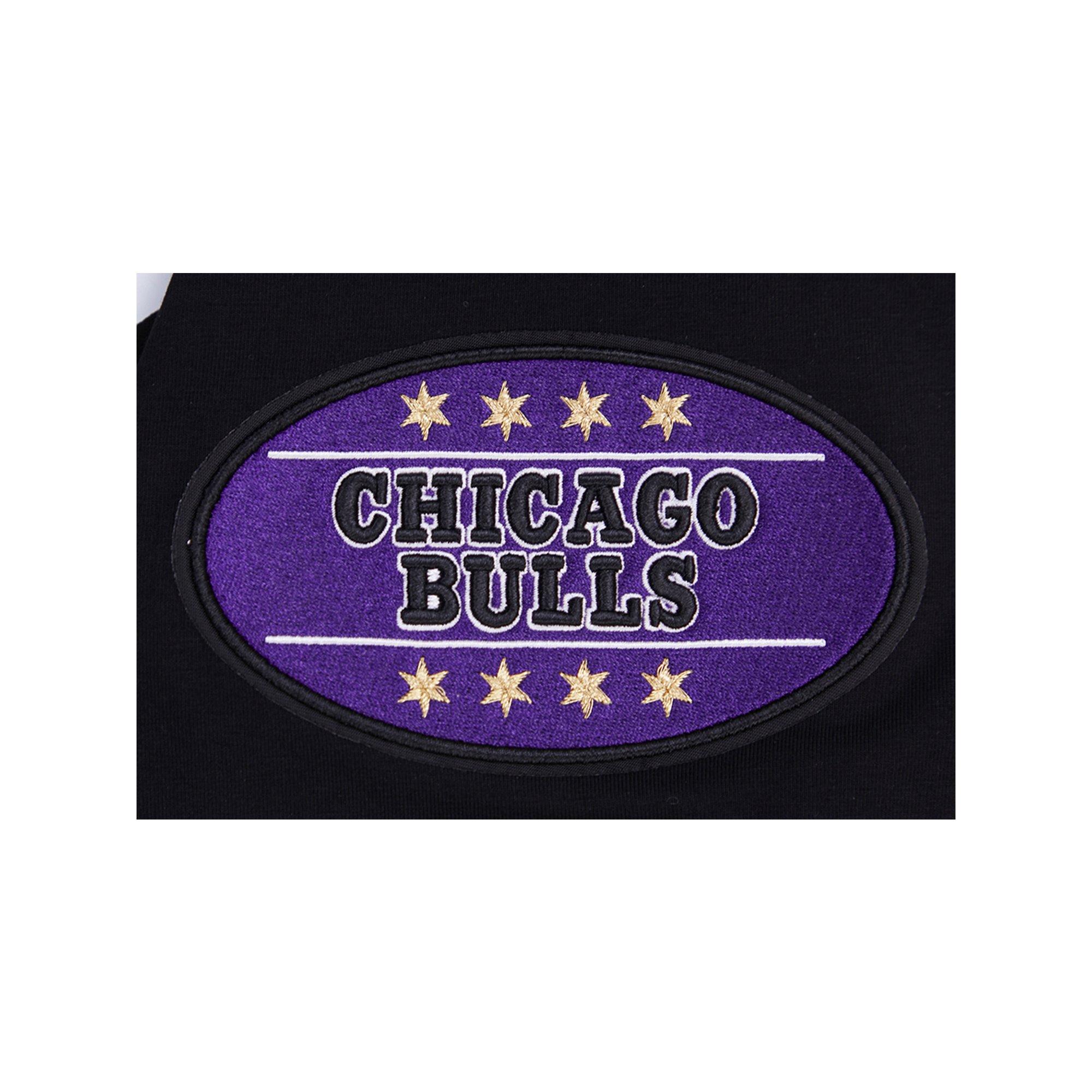 Pro Standard Men's Chicago Bulls AJ Retro 12 "Field Purple" Tee-Black - BLACK Thumbnail View 5