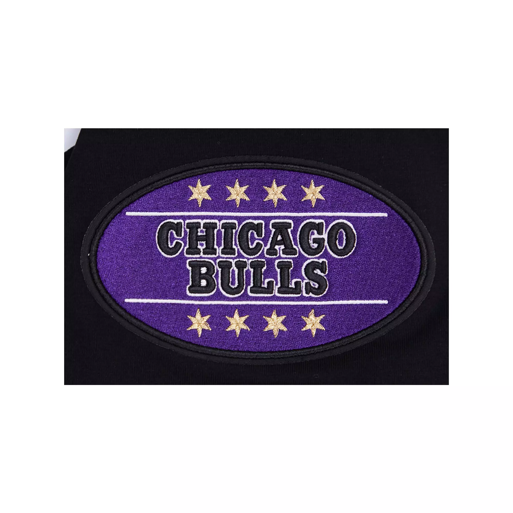 Pro Standard Men's Chicago Bulls AJ Retro 12 "Field Purple" Tee-Black - BLACK