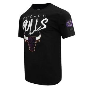 Pro Standard Men's Chicago Bulls AJ Retro 12 "Field Purple" Tee-Black