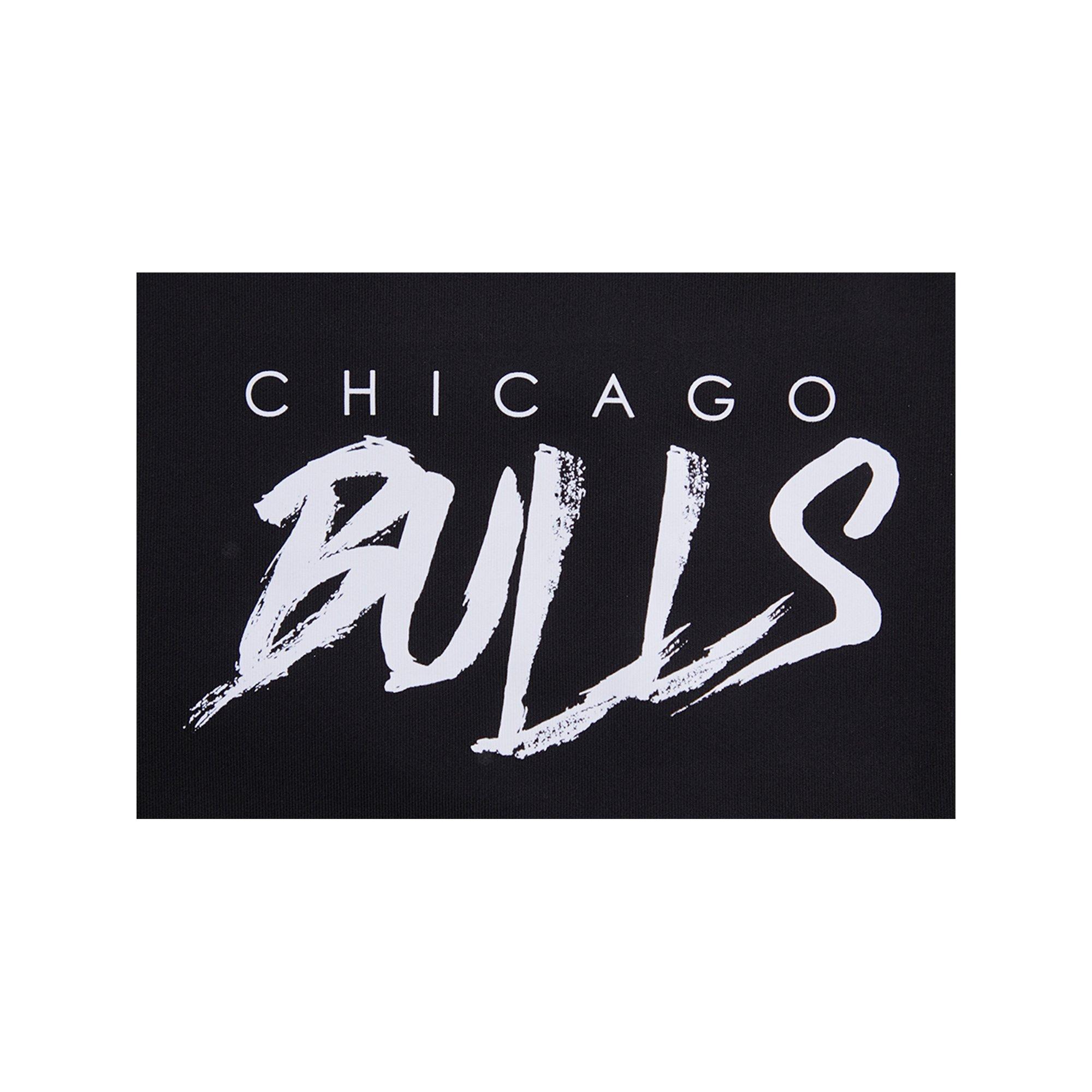 Pro Standard Men's Chicago Bulls AJ Retro 12 "Field Purple" Track Jacket - BLACK Thumbnail View 4