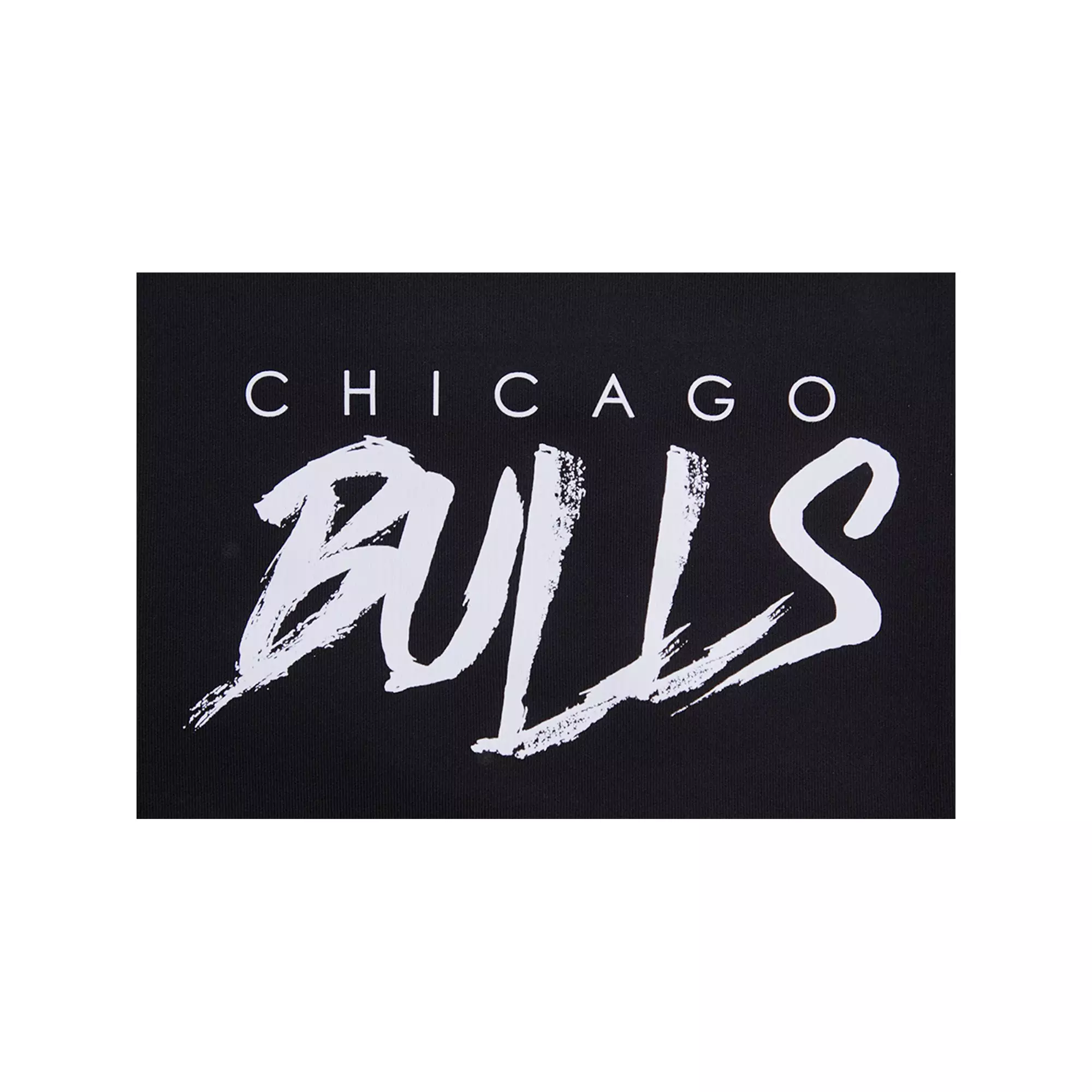 Pro Standard Men's Chicago Bulls AJ Retro 12 "Field Purple" Track Jacket - BLACK