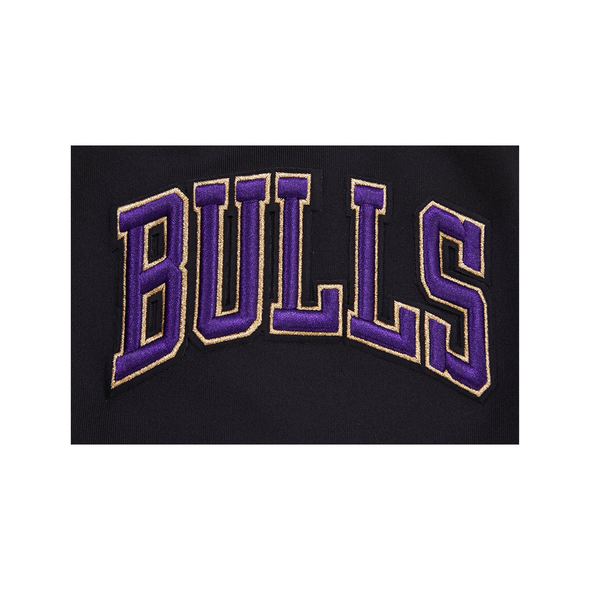 Pro Standard Men's Chicago Bulls AJ Retro 12 "Field Purple" Track Jacket - BLACK Thumbnail View 5