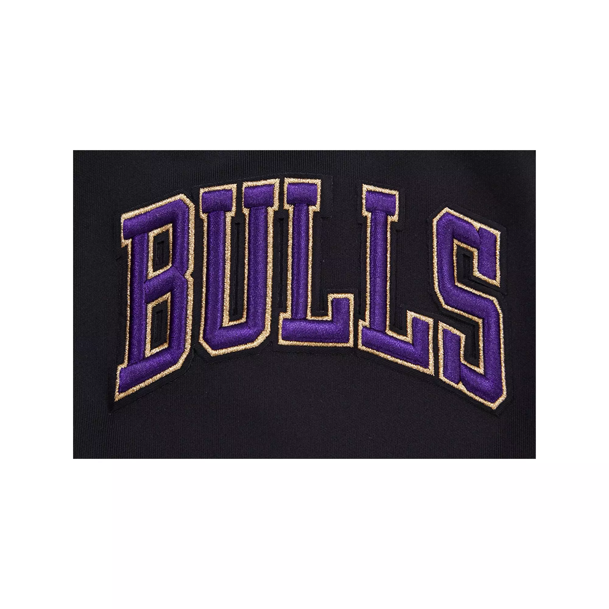 Pro Standard Men's Chicago Bulls AJ Retro 12 "Field Purple" Track Jacket - BLACK