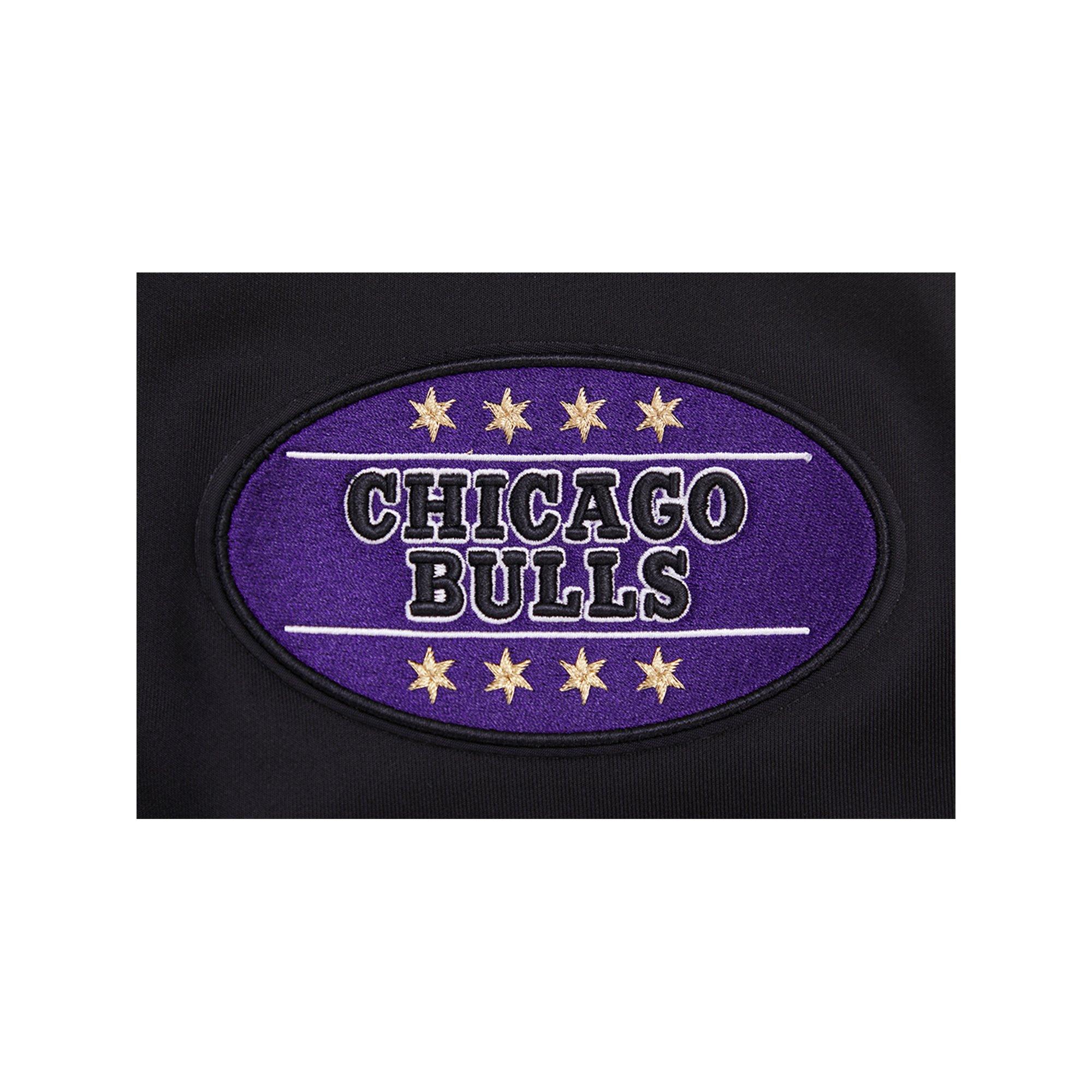 Pro Standard Men's Chicago Bulls AJ Retro 12 "Field Purple" Track Jacket - BLACK Thumbnail View 6