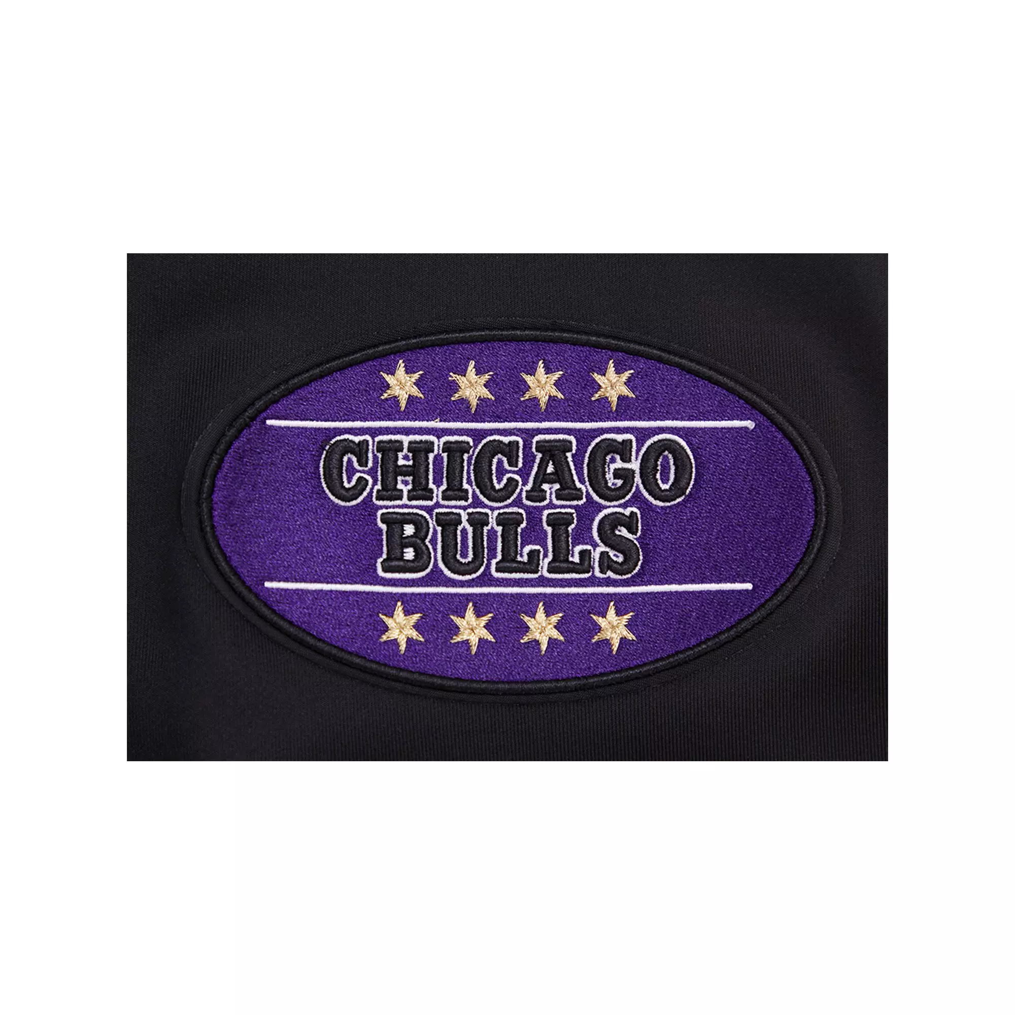 Pro Standard Men's Chicago Bulls AJ Retro 12 "Field Purple" Track Jacket - BLACK