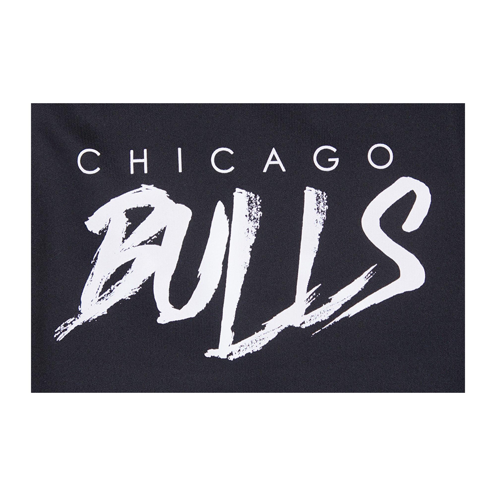 Pro Standard Men's Chicago Bulls AJ Retro 12 "Field Purple" Track Pants - BLACK Thumbnail View 4