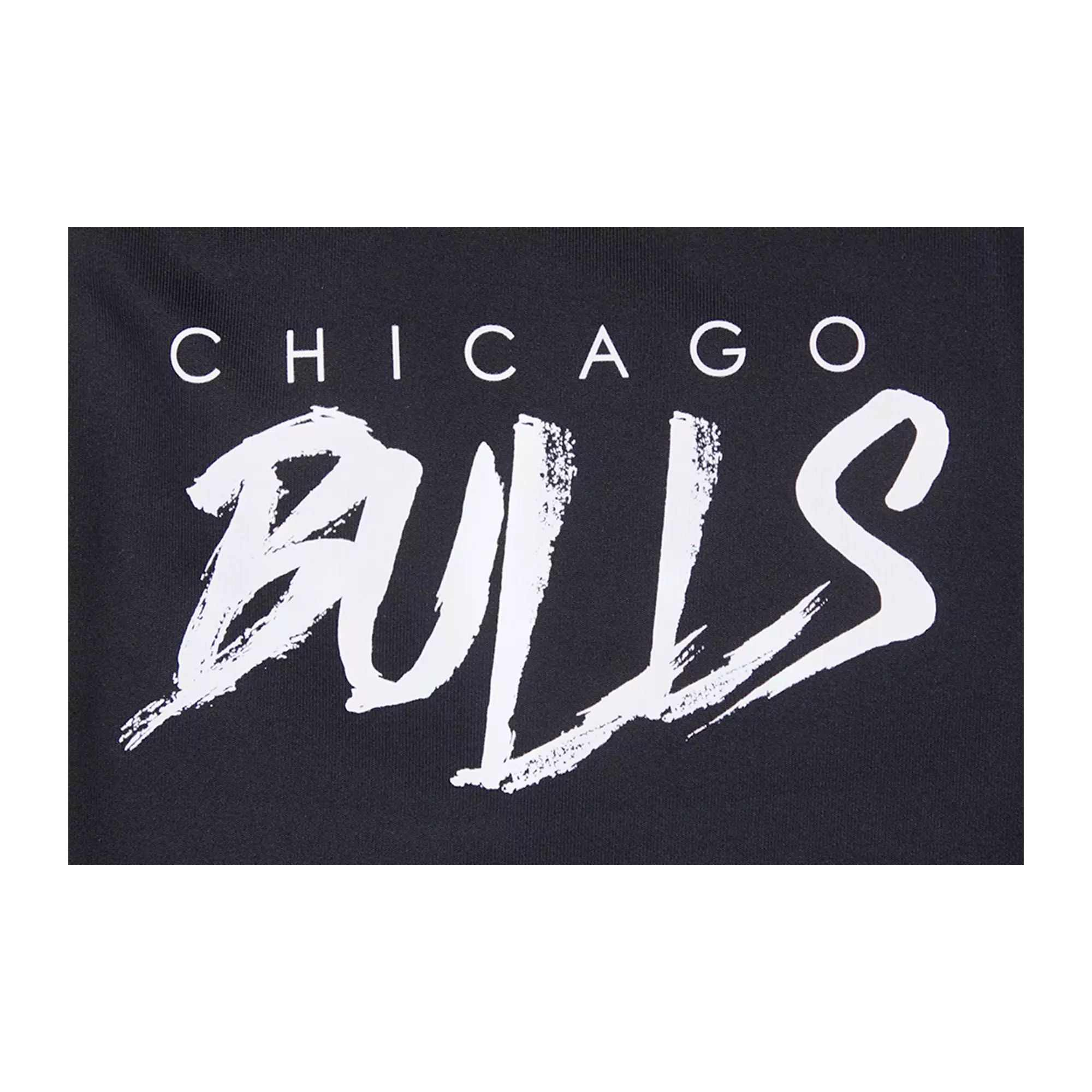 Pro Standard Men's Chicago Bulls AJ Retro 12 "Field Purple" Track Pants - BLACK