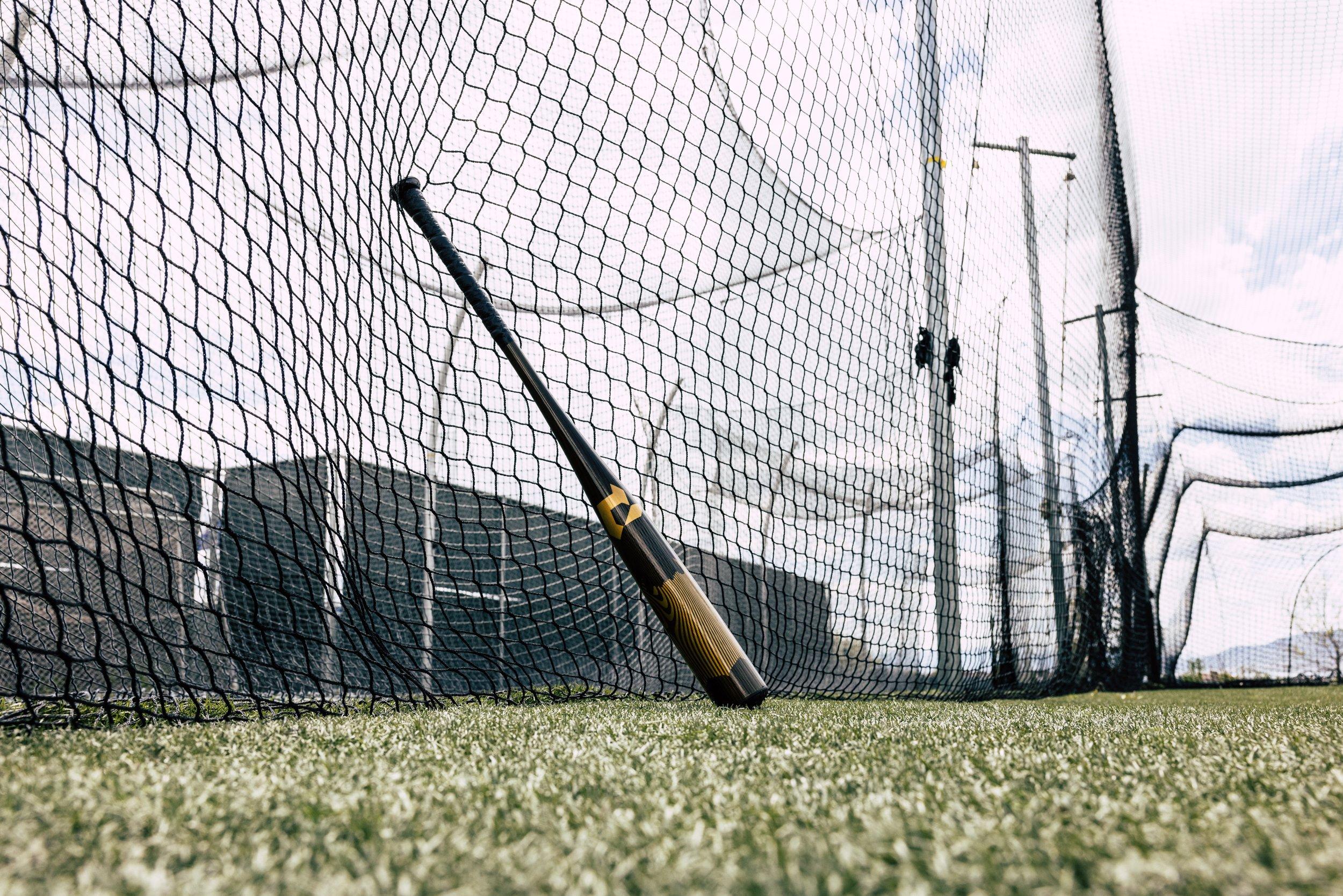 DeMarini VooDoo One BBCOR Baseball Bat (-3) 2024