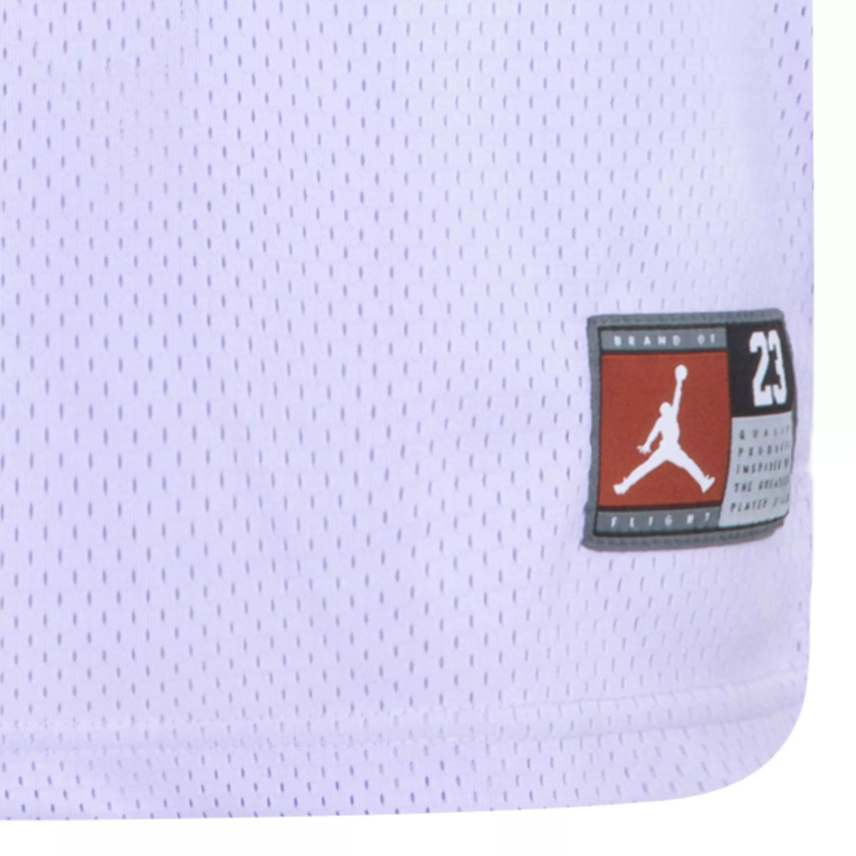Jordan Big Girls' Violet Jersey - VIOLET