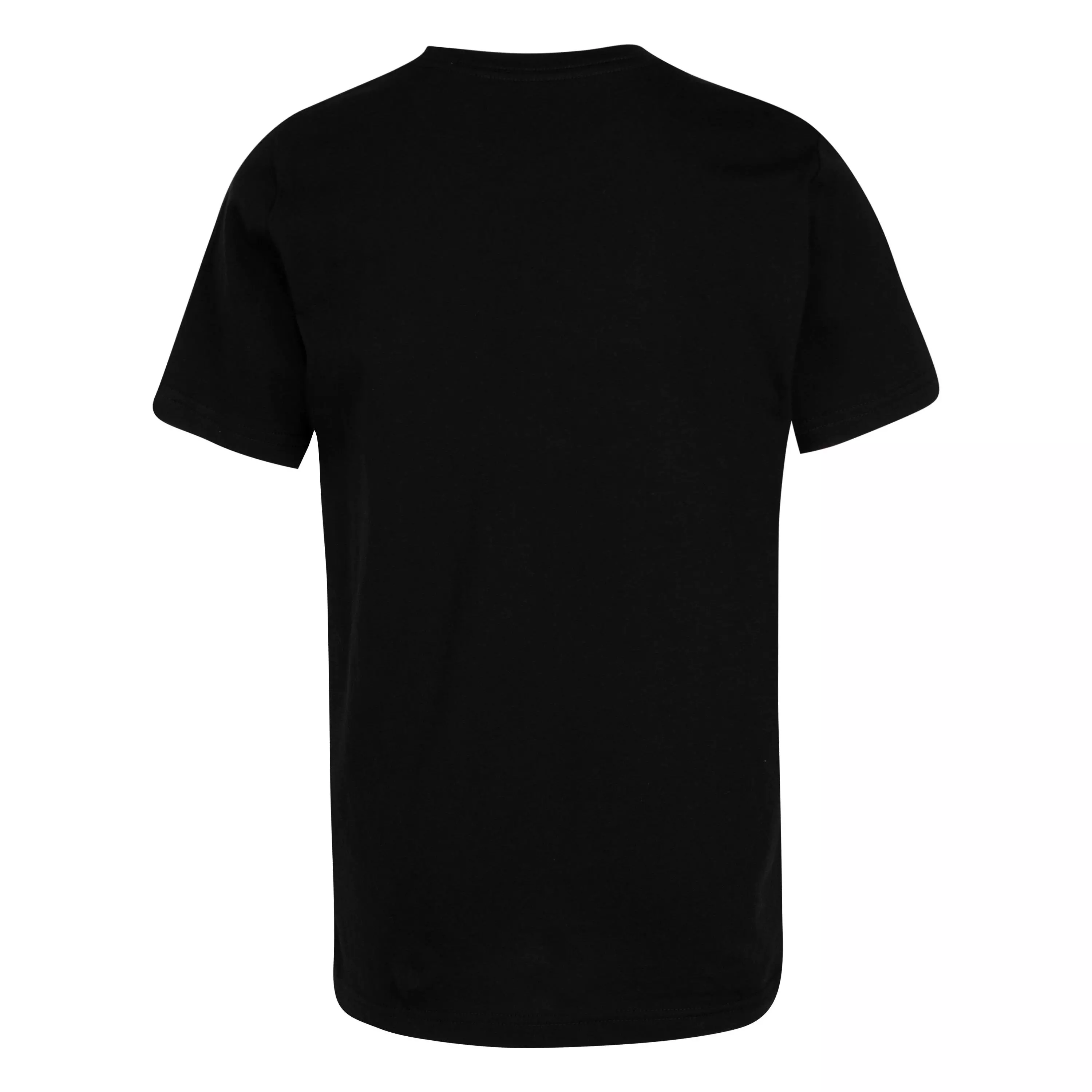 Jordan Big Boys' Flight History Tee - BLACK