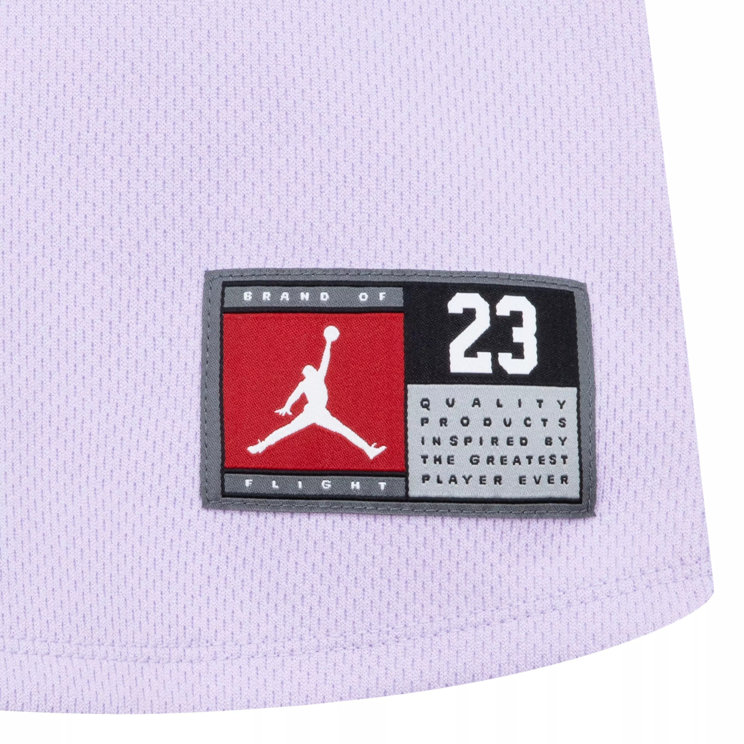 Jordan Toddler Girls' Jersey Dress - VIOLET