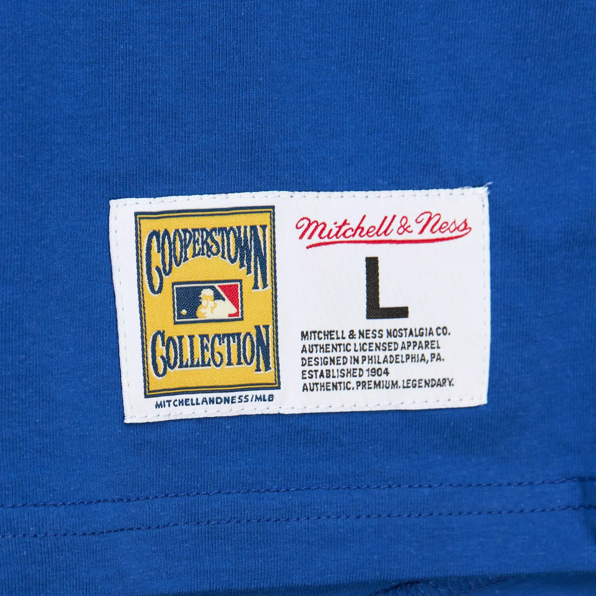 Mitchell & Ness Men's Texas Rangers Hometown Vintage Logo Short Sleeve Shirt - Royal - ROYAL