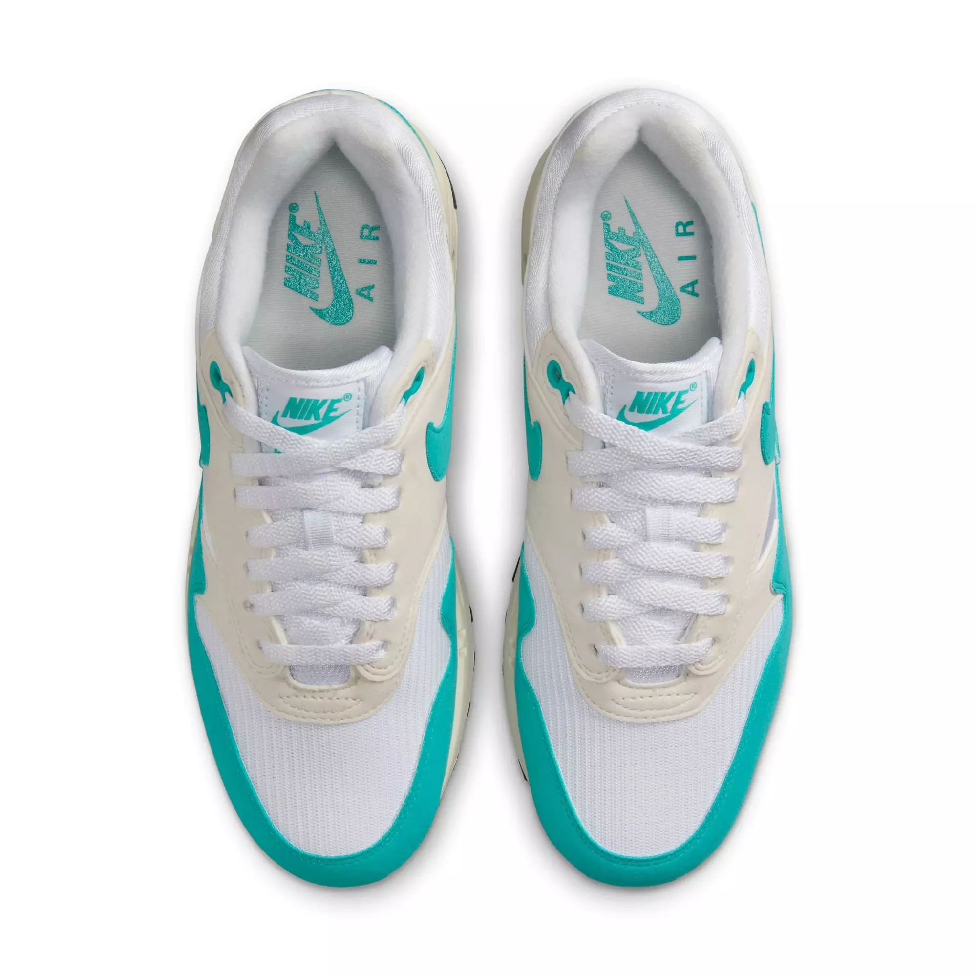 Nike Air Max 1 "Dusty Cactus" Women's Shoe - WHITE/DUSTY CACTUS/PHANTOM
