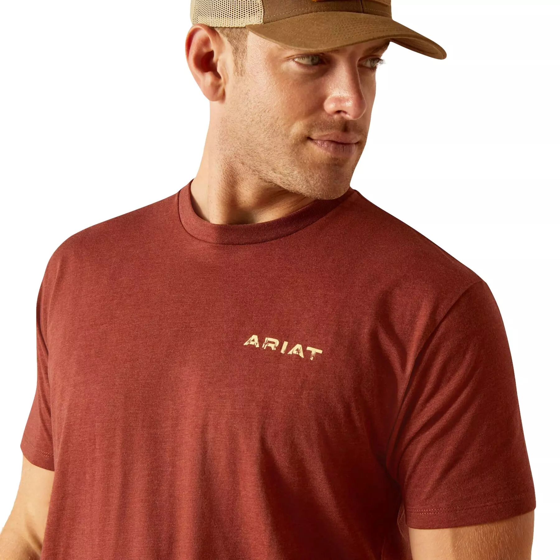 Ariat Men's SW Cacti Tee - Brown - RUST
