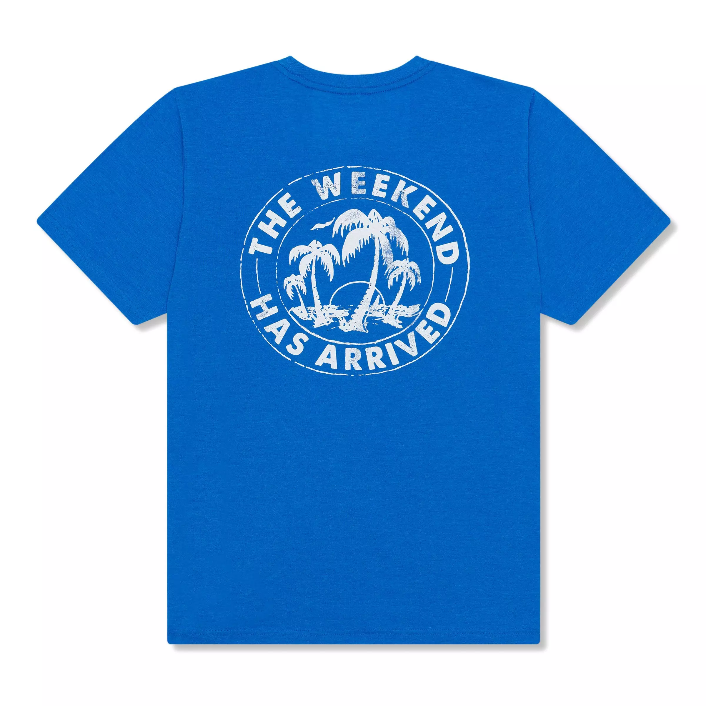 Chubbies Men's The Relaxer T-Shirt - BLUE