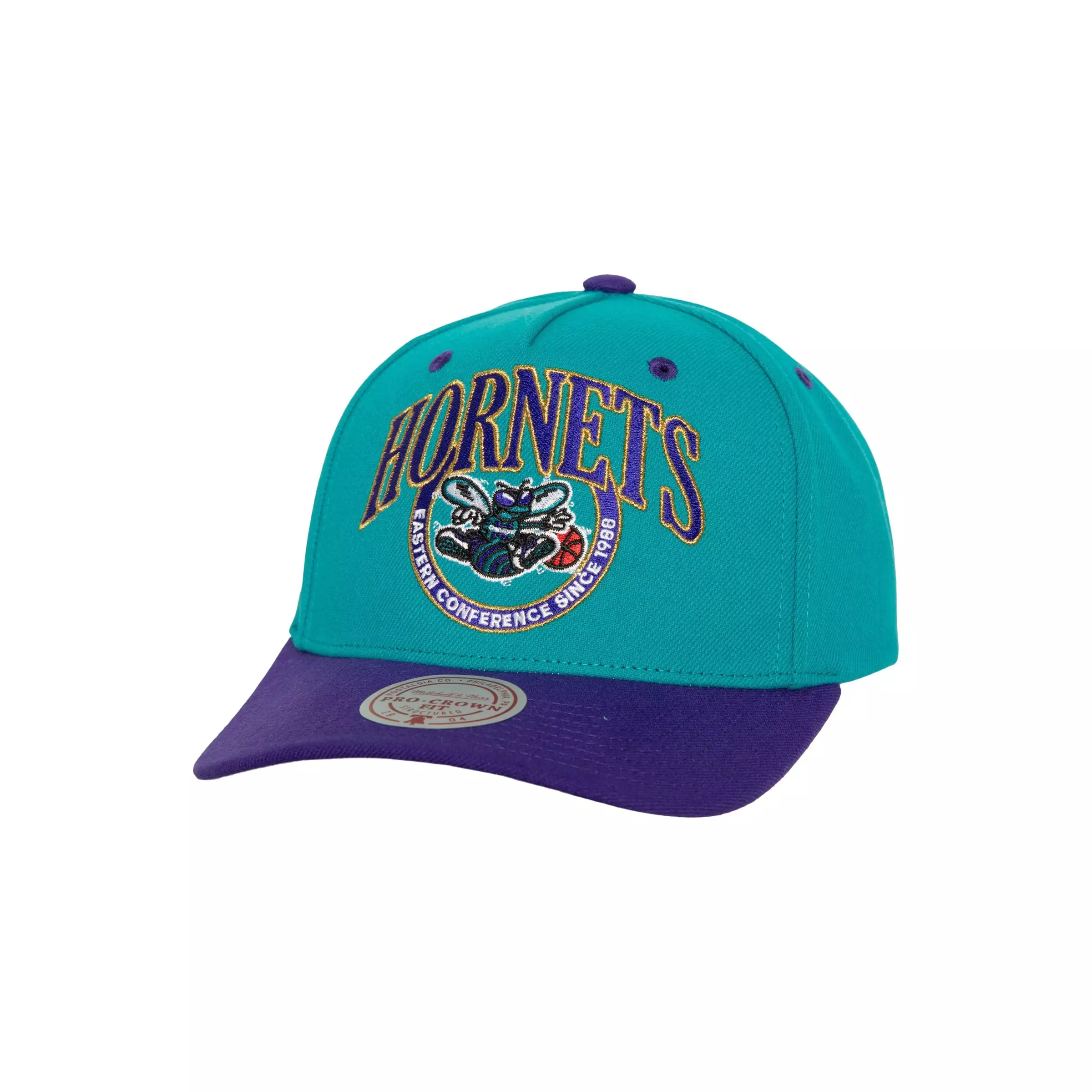 Mitchell & Ness Charlotte Hornets Crown Jewel Pro Snapback - BLUE