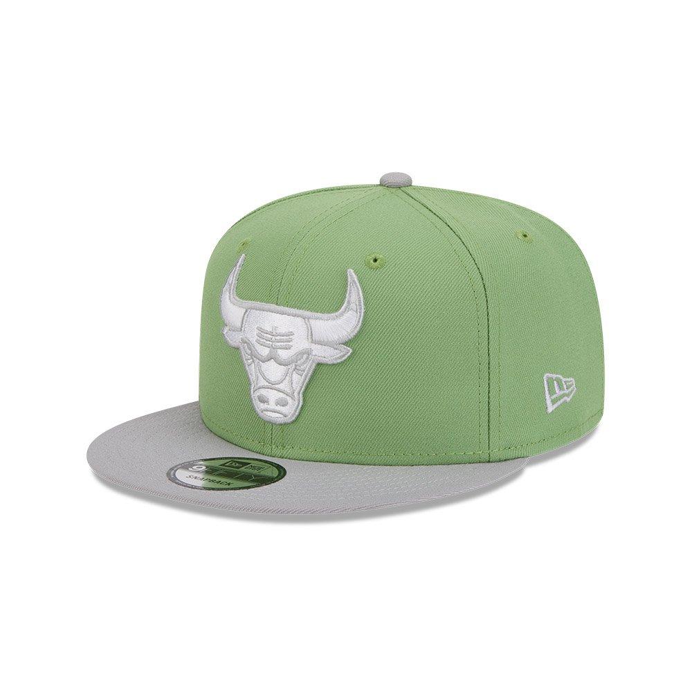 New Era Chicago Bulls 9FIFTY Color Pack 2-Tone NBA Snapback - GREEN/GREY