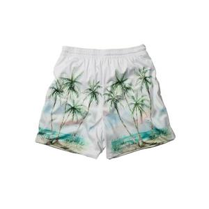 Reason Men's Lost Angels Surf Shorts