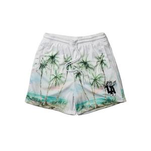 Reason Men's Lost Angels Surf Shorts