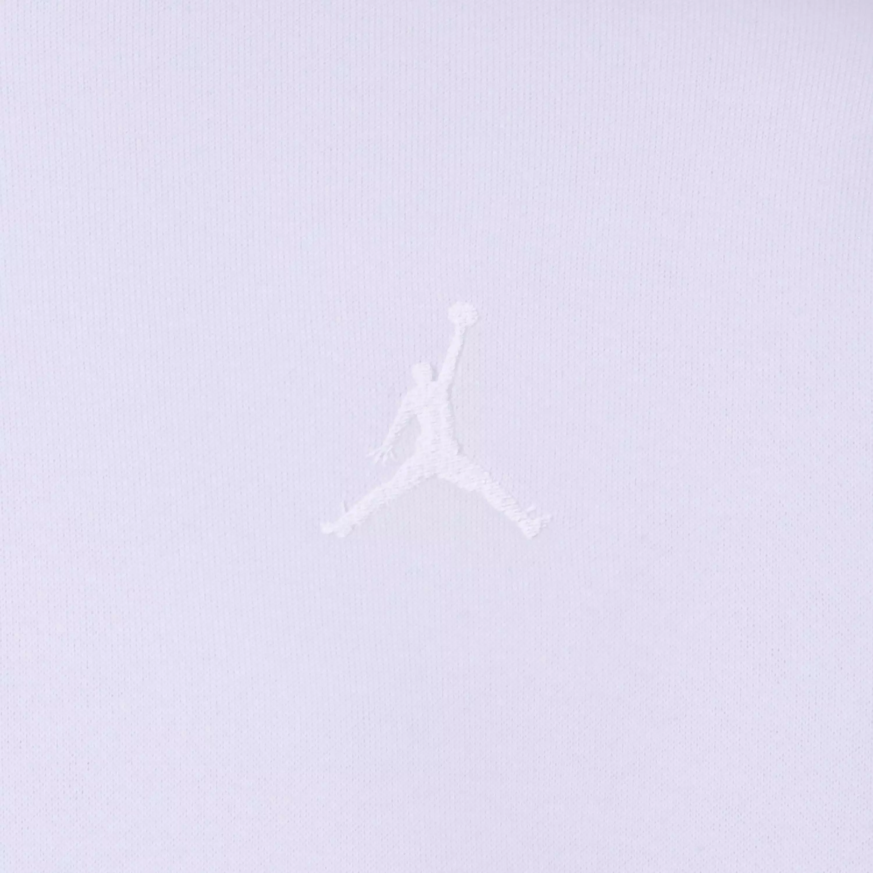 Jordan Big Girls' Brooklyn Essential Hoodie - LT BLUE