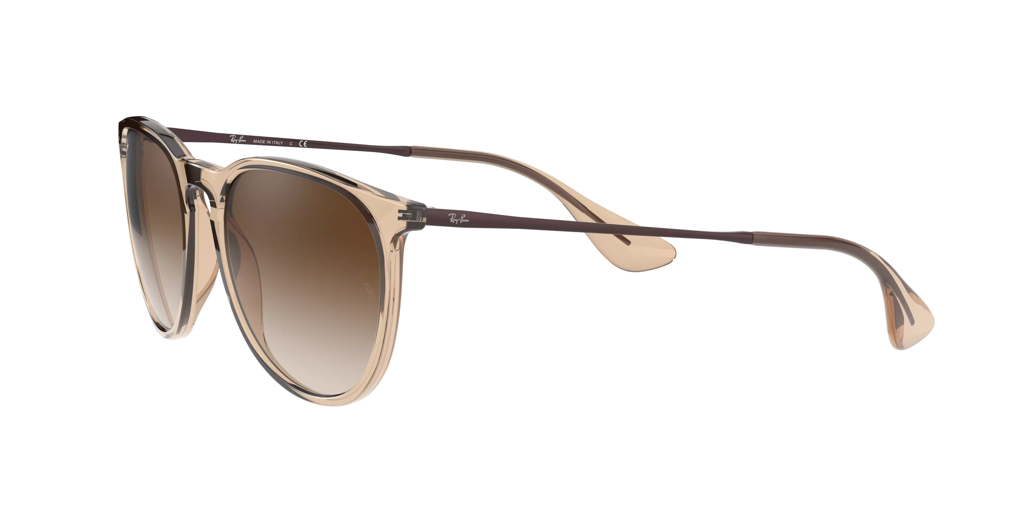 Ray-Ban Erika Sunglasses - BROWN