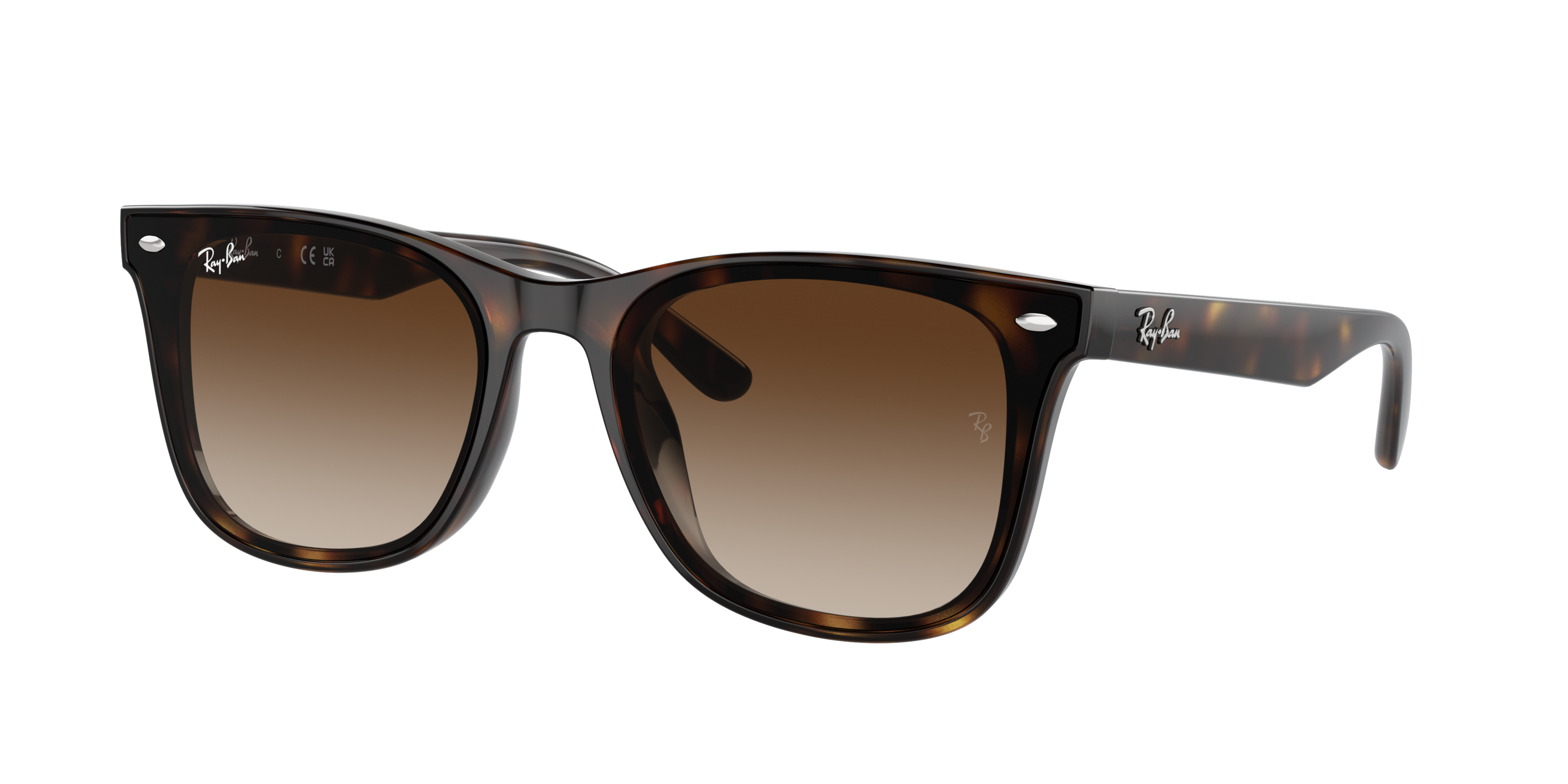 Ray-Ban RB4420 Sunglasses - BROWN Thumbnail View 1