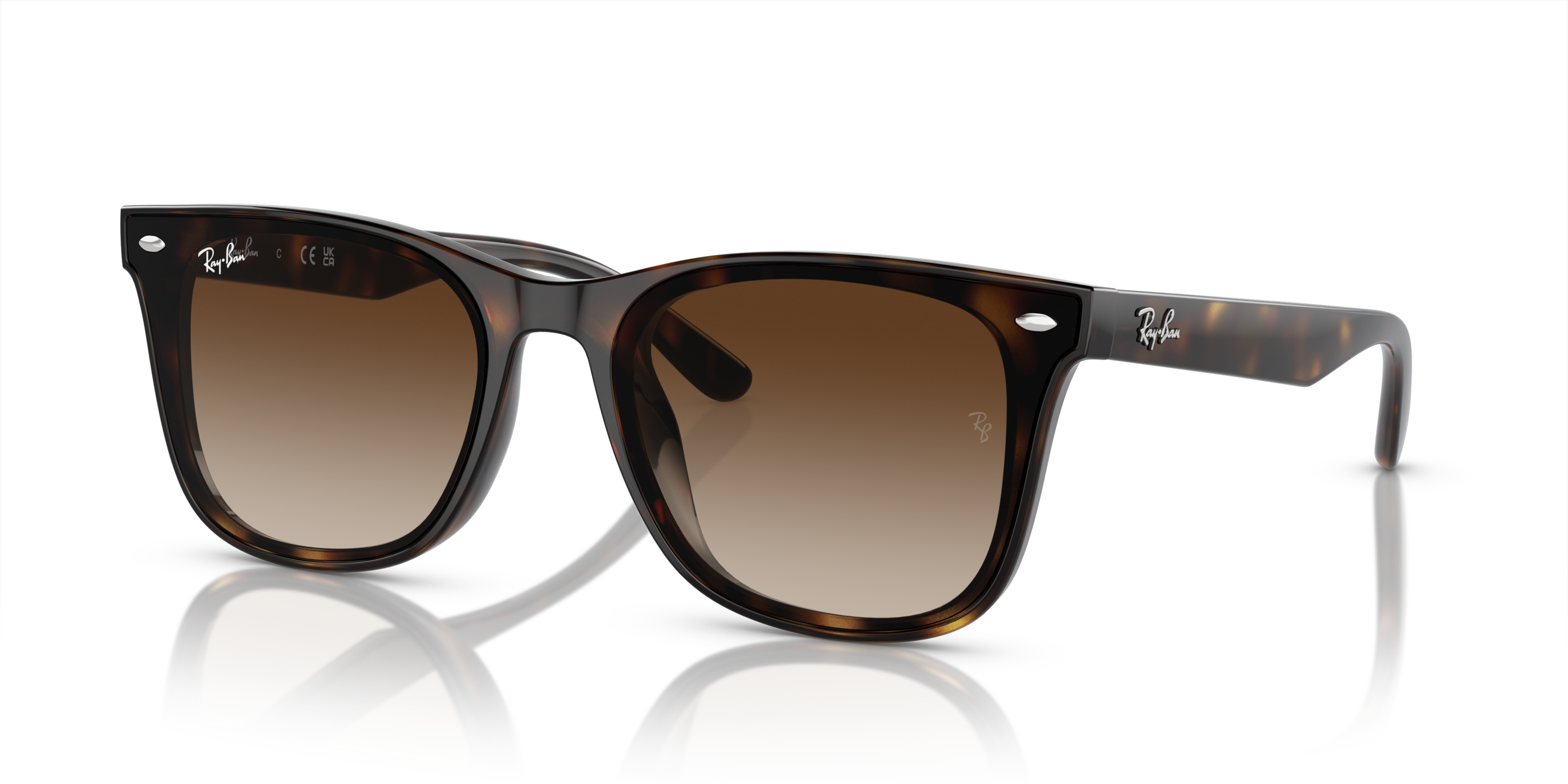 Ray-Ban RB4420 Sunglasses - BROWN Thumbnail View 6
