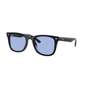 Ray-Ban RB4420 Sunglasses-Black