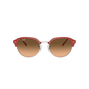 Ray-Ban Rb4429 Sunglasses